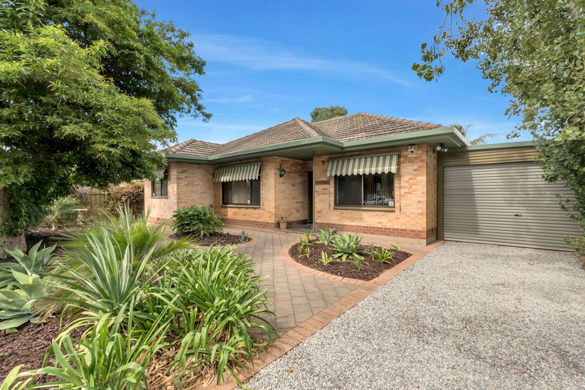77 Condada Avenue, Park Holme, SA, 5043, Park Holme - Image 1