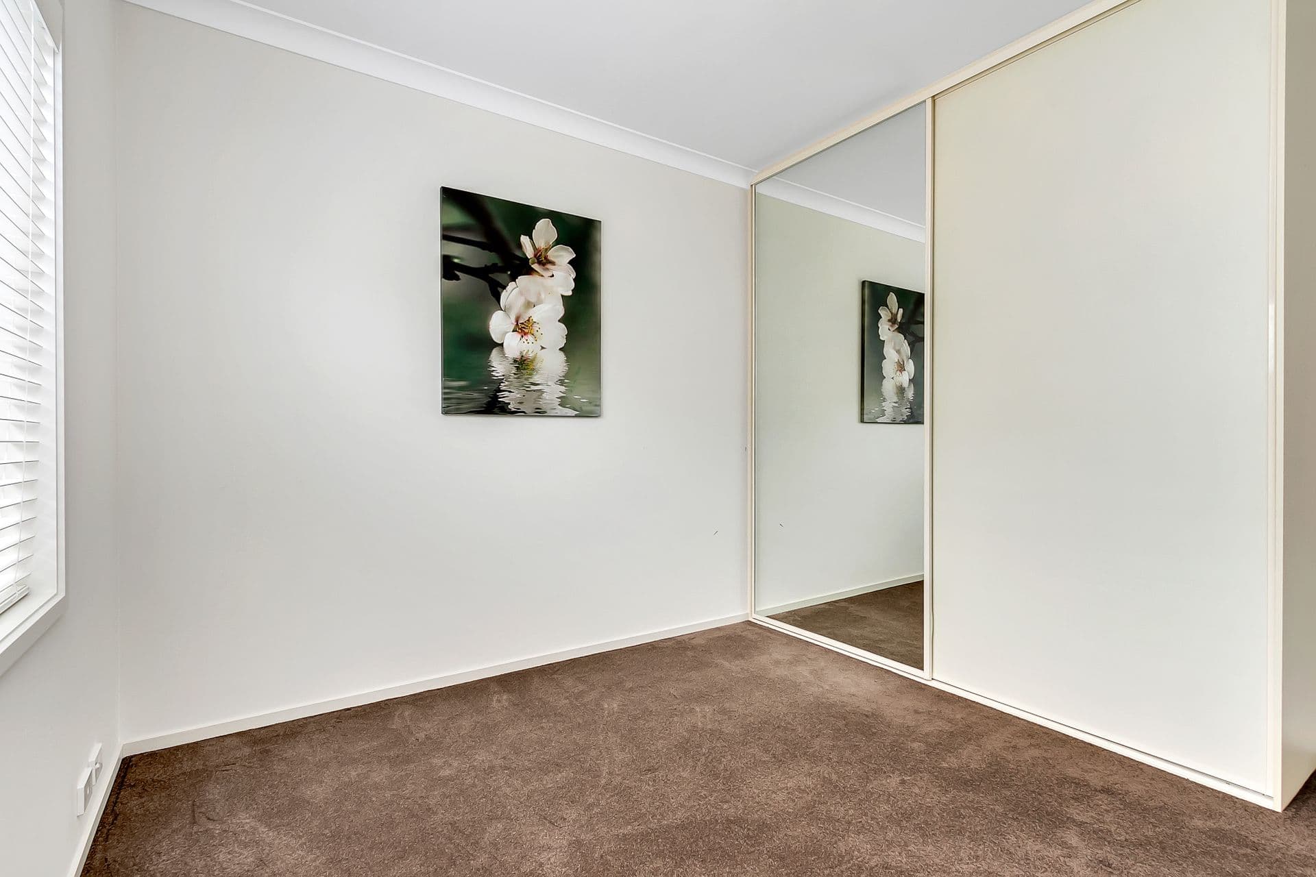 50  Clement Street, Plympton Park, SA, 5038, Plympton Park - Thumbnail 8