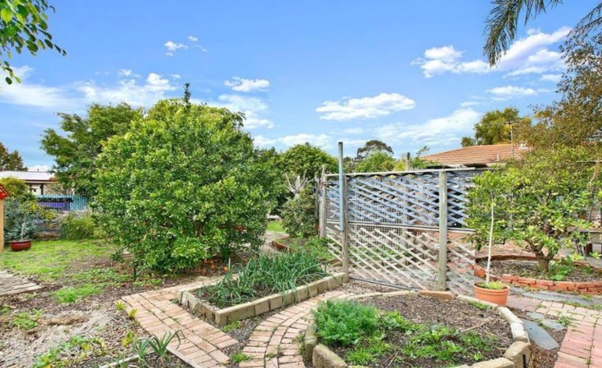 49 Limbert Avenue, Seacombe Gardens, SA, 5047, Seacombe Gardens - Thumbnail 2