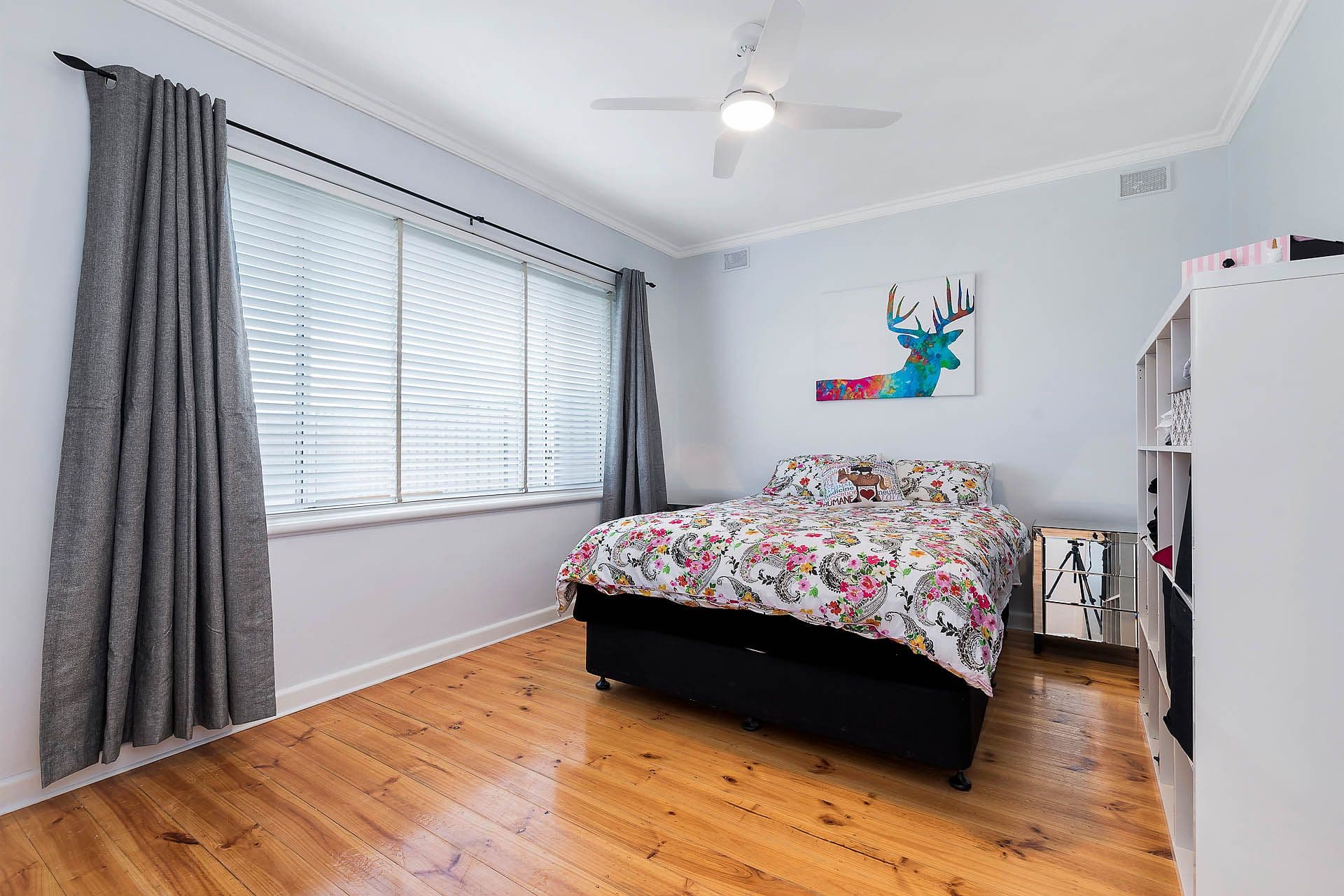 60 Spring Street, North Plympton, SA, 5037, North Plympton - Thumbnail 6
