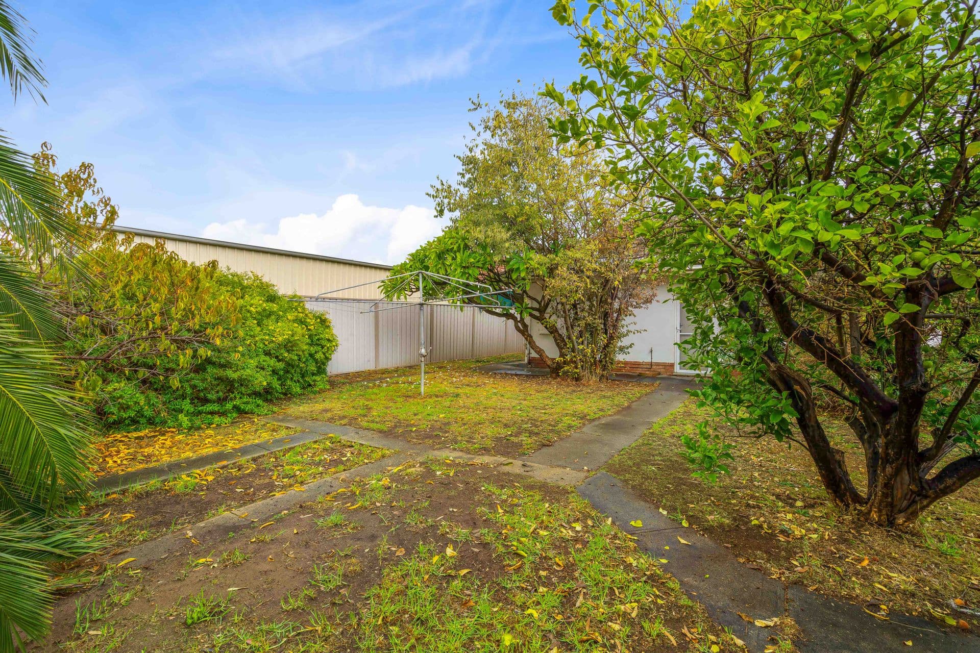59 Woodlands Terrace, Edwardstown, SA, 5039, Edwardstown - Thumbnail 8