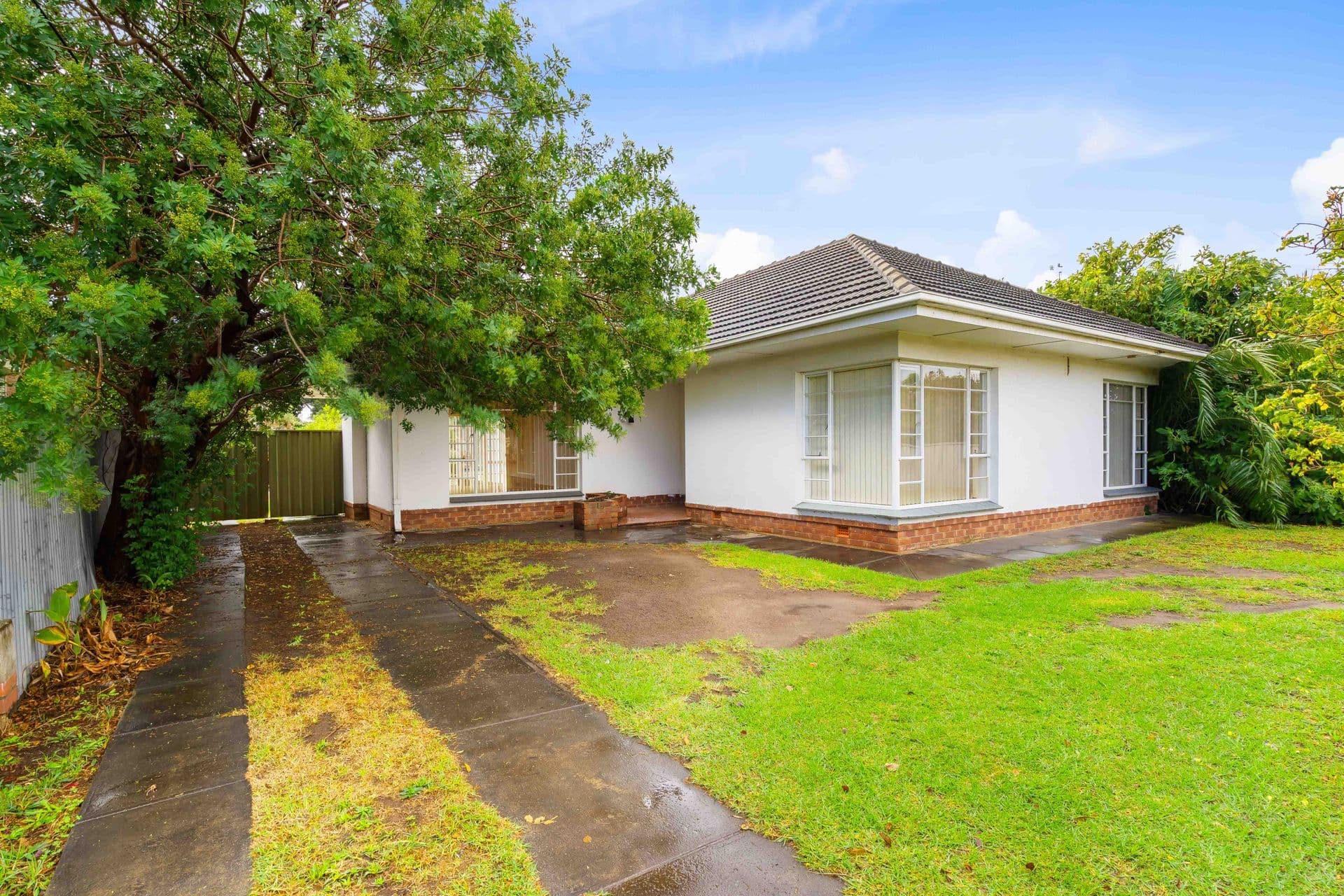 59 Woodlands Terrace, Edwardstown, SA, 5039, Edwardstown - Thumbnail 5