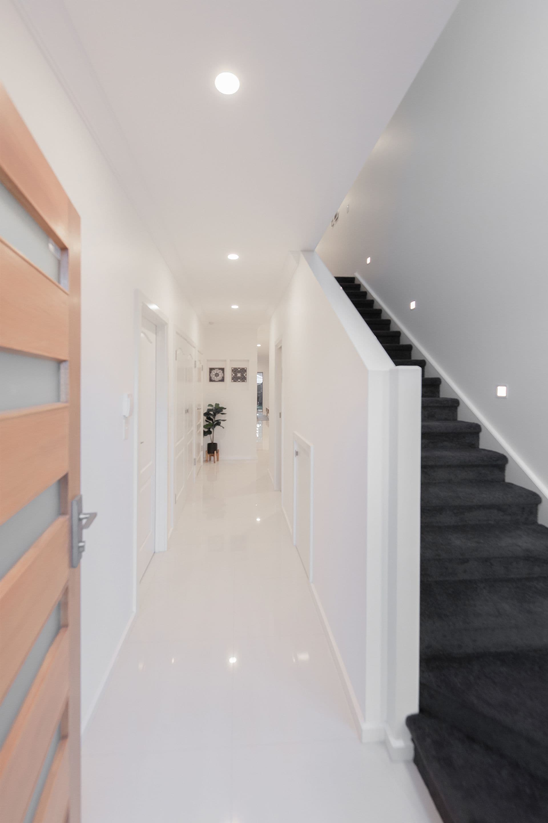 14 Rathlin Ave, Marion, SA, 5043, Marion - Thumbnail 8