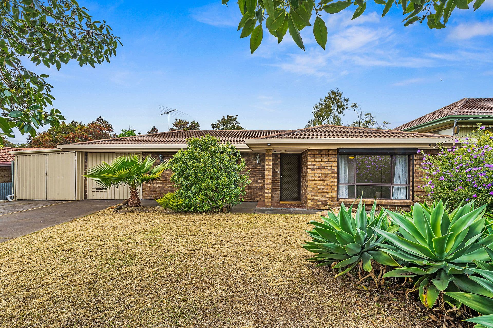 6 Timothy Road, Morphett Vale, SA, 5162, Morphett Vale - Image 1