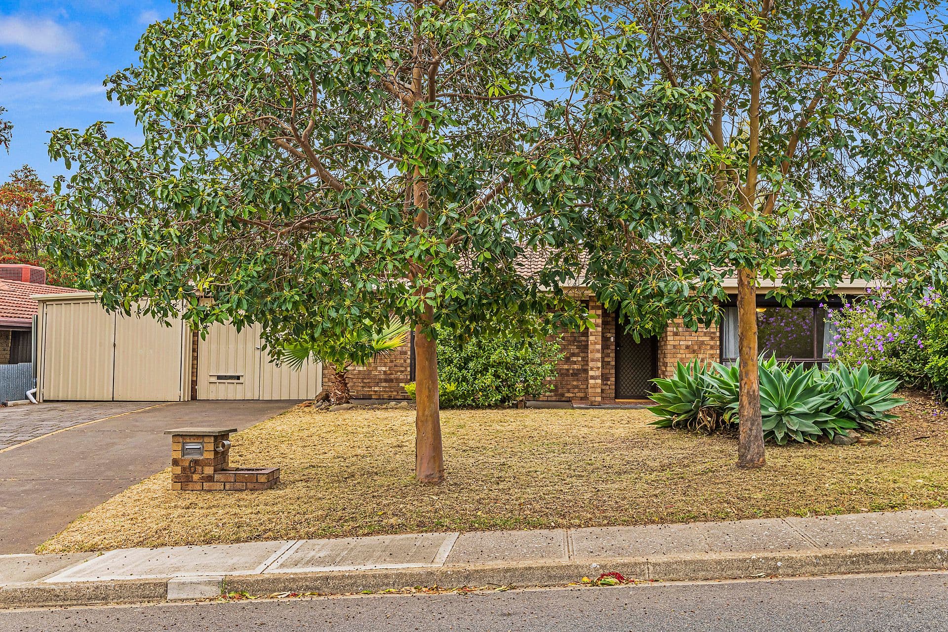 6 Timothy Road, Morphett Vale, SA, 5162, Morphett Vale - Thumbnail 2