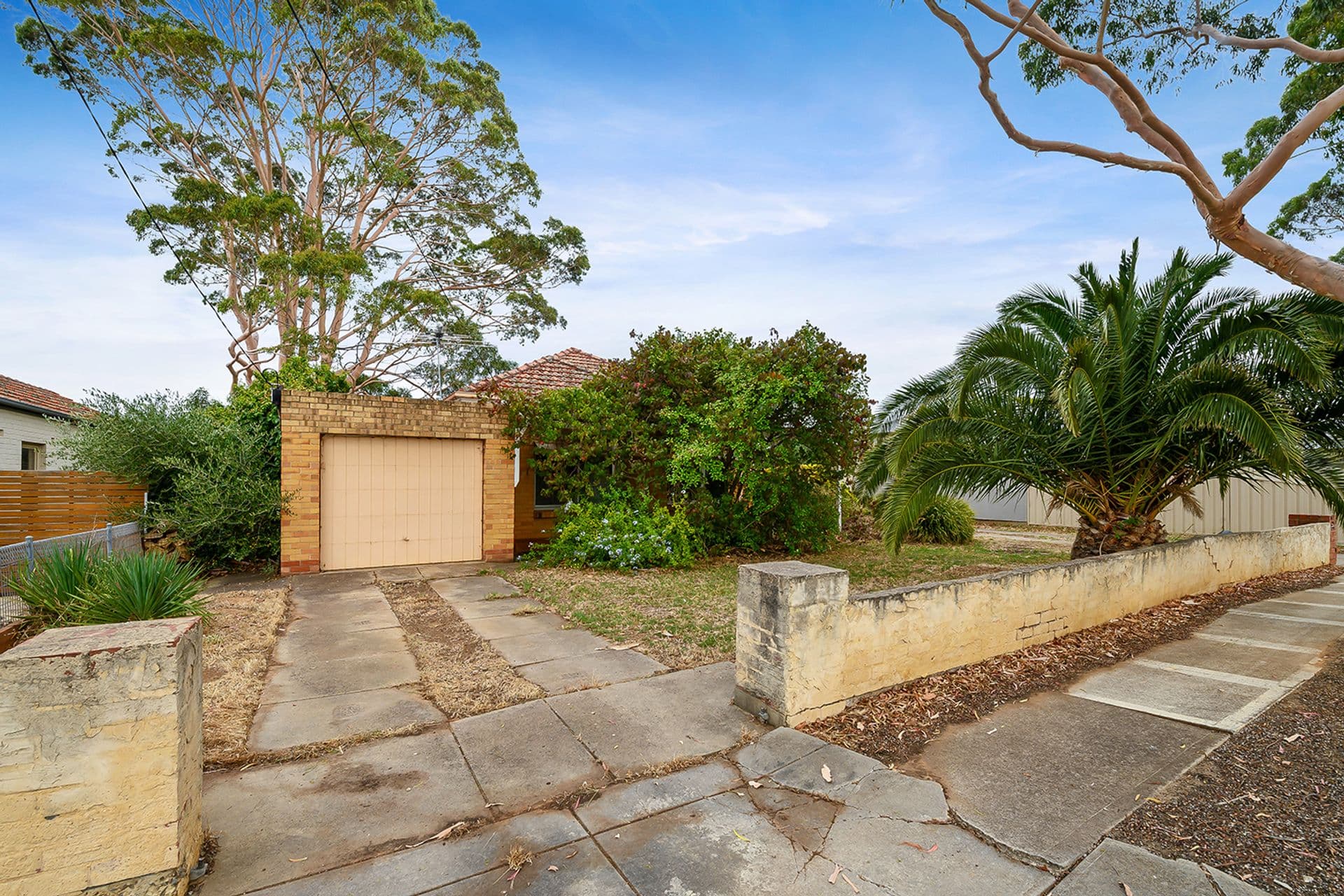 26 Kelvin Avenue, Warradale, SA, 5046, Warradale - Thumbnail 6