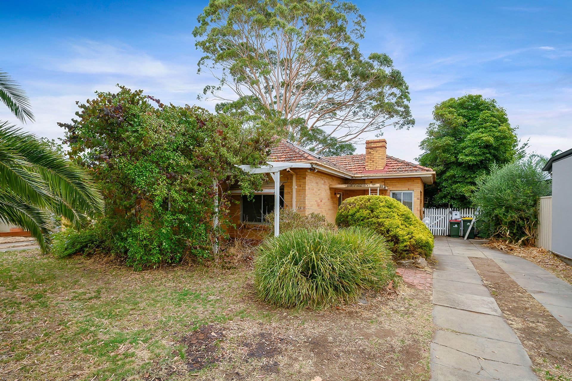26 Kelvin Avenue, Warradale, SA, 5046, Warradale - Image 1