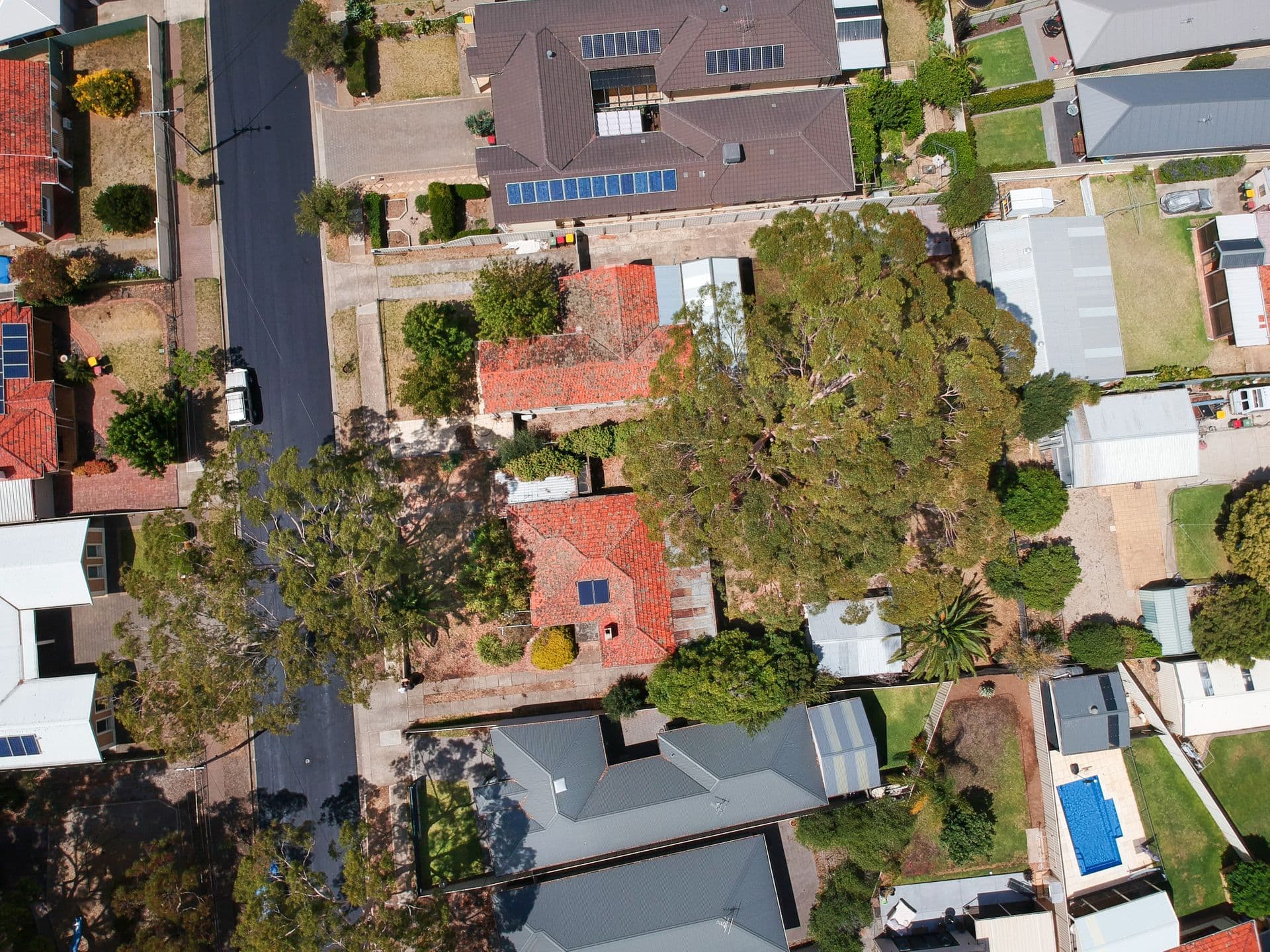 26 Kelvin Avenue, Warradale, SA, 5046, Warradale - Thumbnail 4