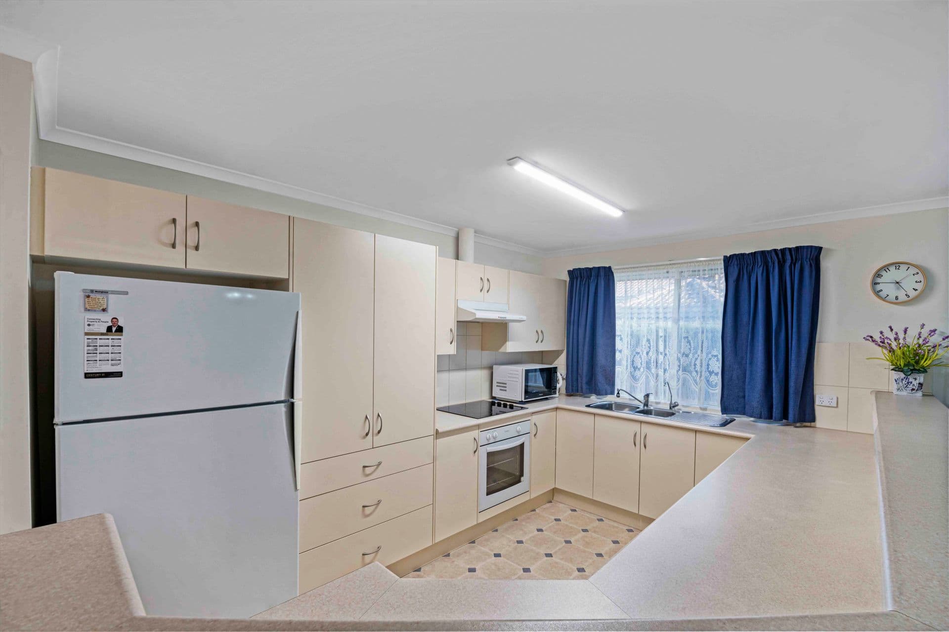 8 Branch Street, Sheidow Park, SA, 5158, Sheidow Park - Thumbnail 3