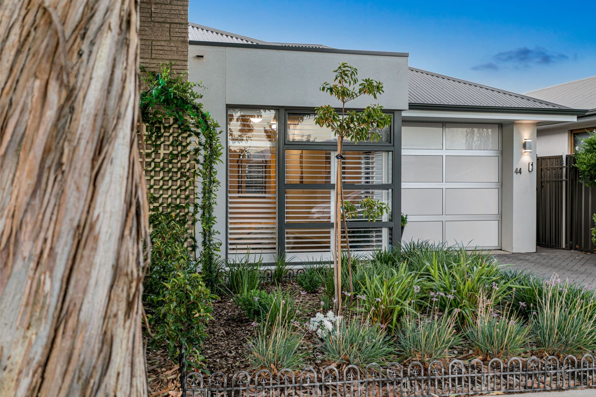 44 Aldridge Avenue, Plympton Park, SA, 5038, Plympton Park - Thumbnail 6
