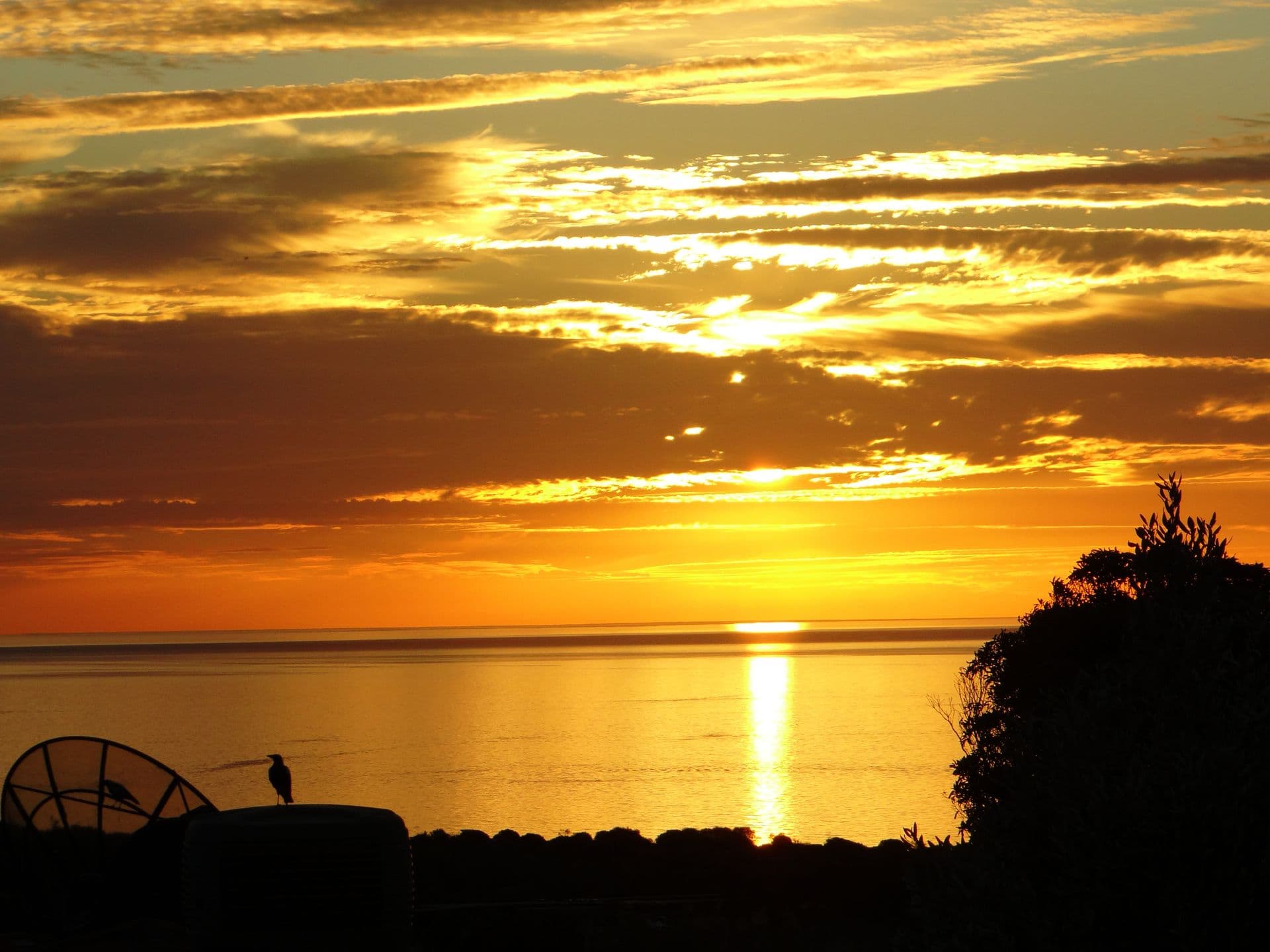 2 Luderitz Close, Hallett Cove, SA, 5158, Hallett Cove - Thumbnail 5