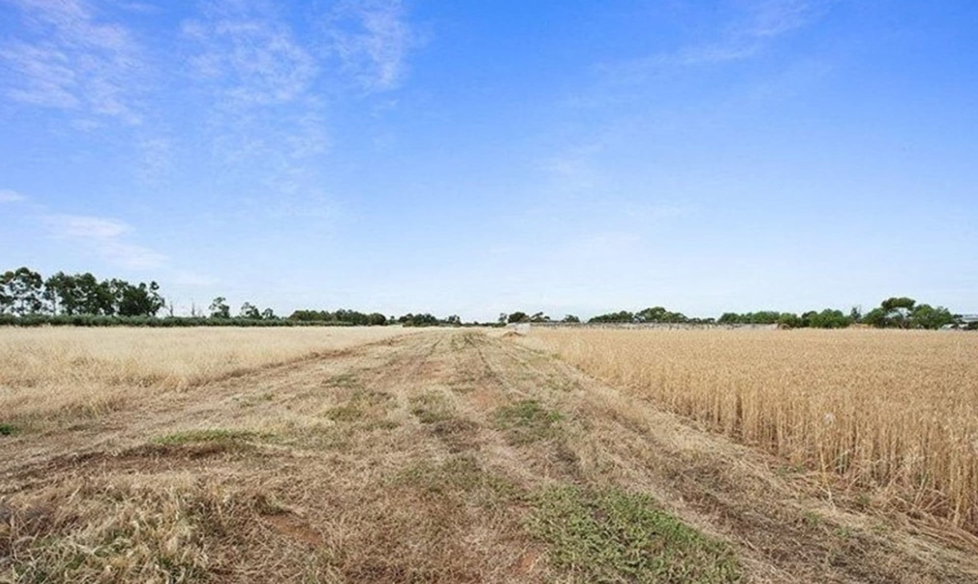 429 Womma Road, Penfield, SA, 5121, Penfield - Thumbnail 4