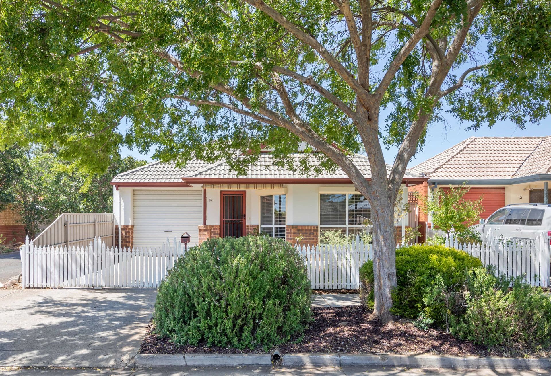 14 Maldon Avenue, Mitchell Park, SA, 5043, Mitchell Park - Image 1