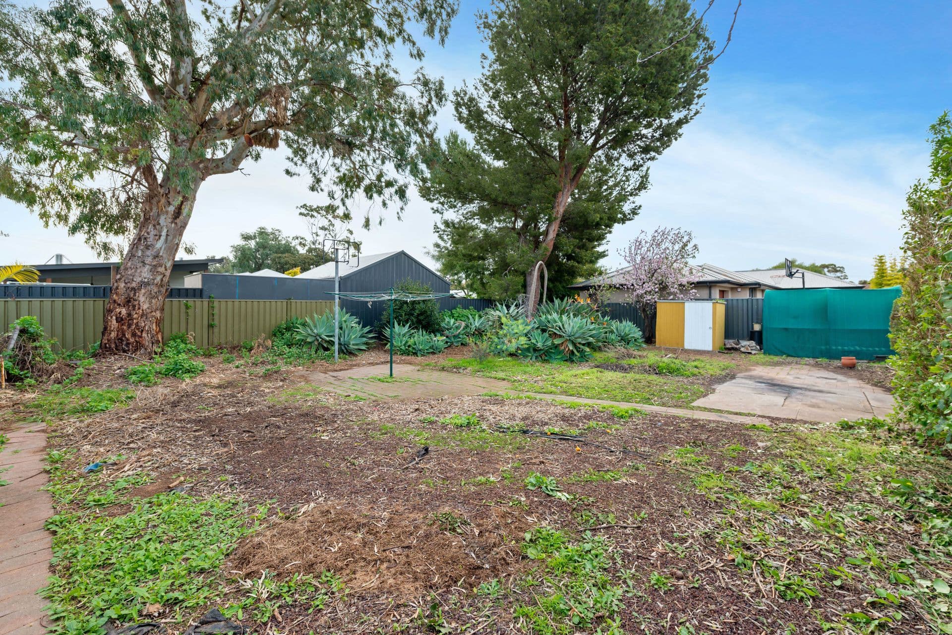 24 Elgin Avenue, Warradale, SA, 5046, Warradale - Thumbnail 5