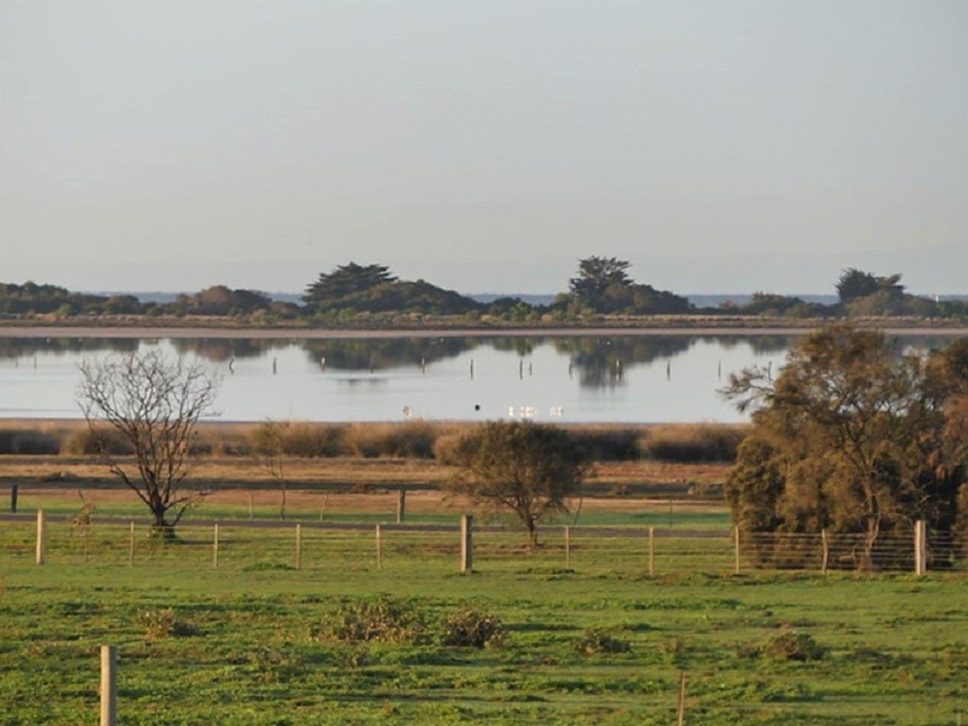 35 Point Cook Homestead Road, Point Cook, VIC, 3030, Point Cook - Thumbnail 6