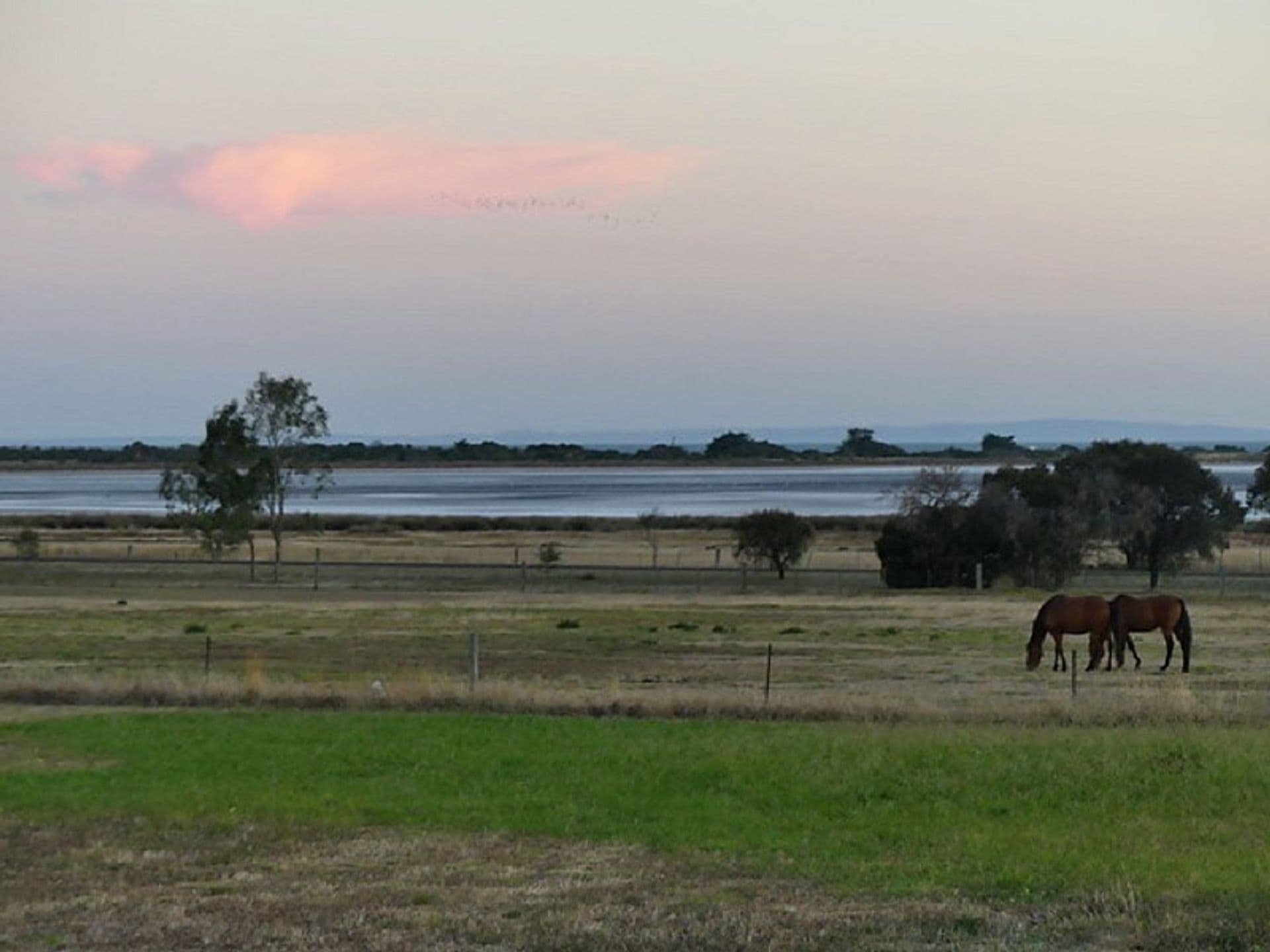 35 Point Cook Homestead Road, Point Cook, VIC, 3030, Point Cook - Thumbnail 5