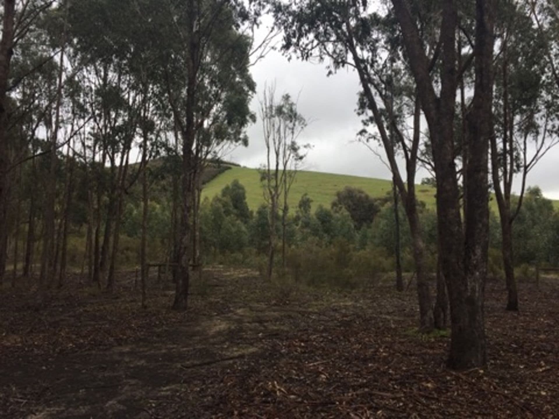 Office 3, 40D Wallace Ave, Point Cook, VIC, 3030, Seymour - Thumbnail 2
