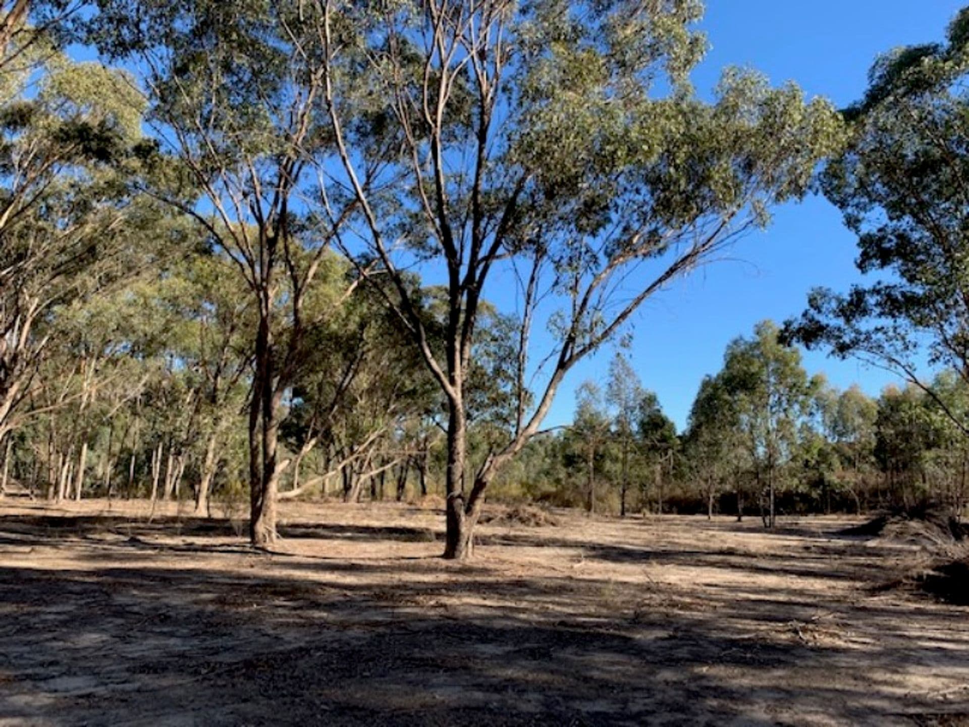 820 Telegraph Road, Seymour, VIC, 3660, Seymour - Image 1