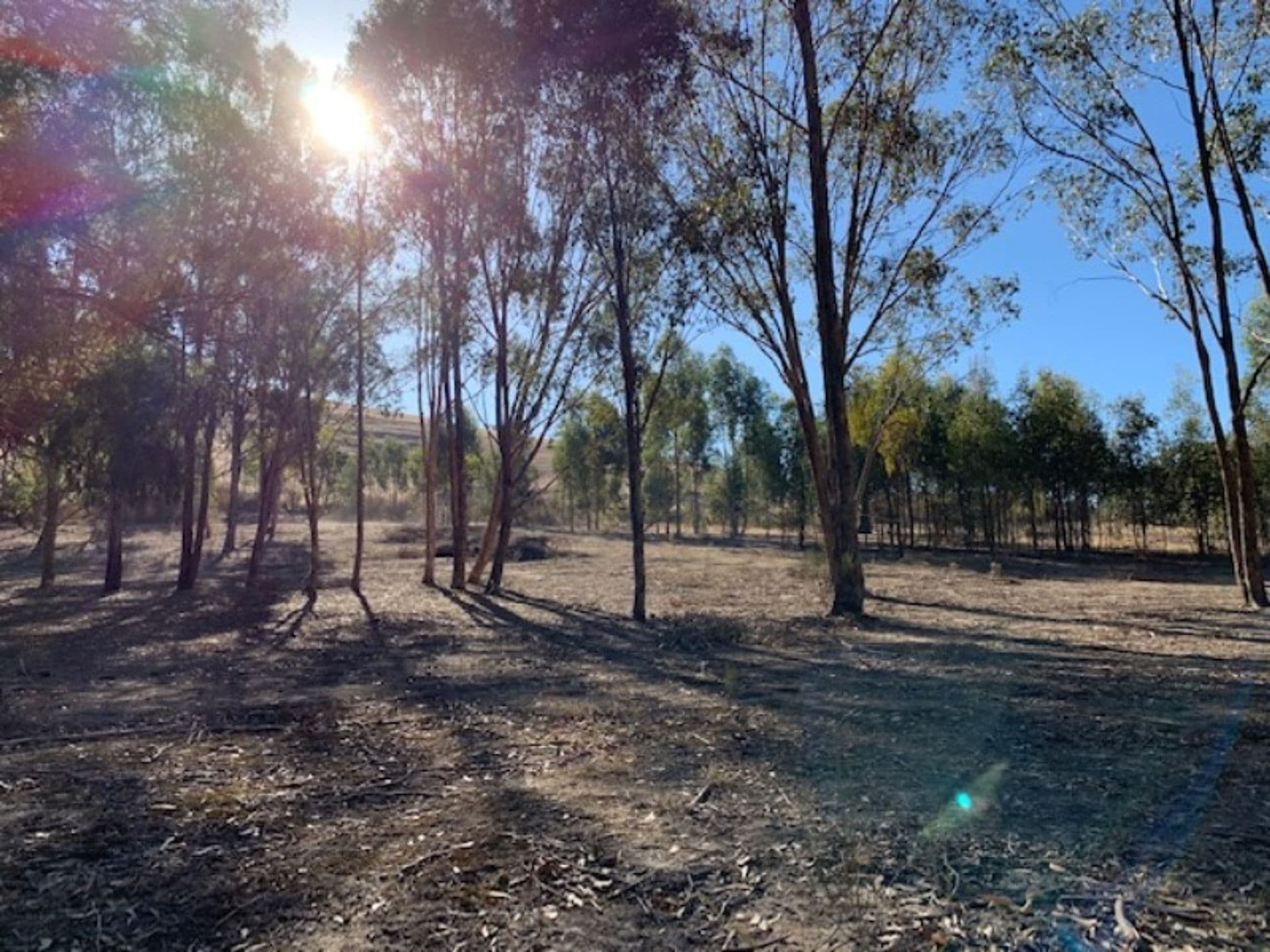 820 Telegraph Road, Seymour, VIC, 3660, Seymour - Thumbnail 3