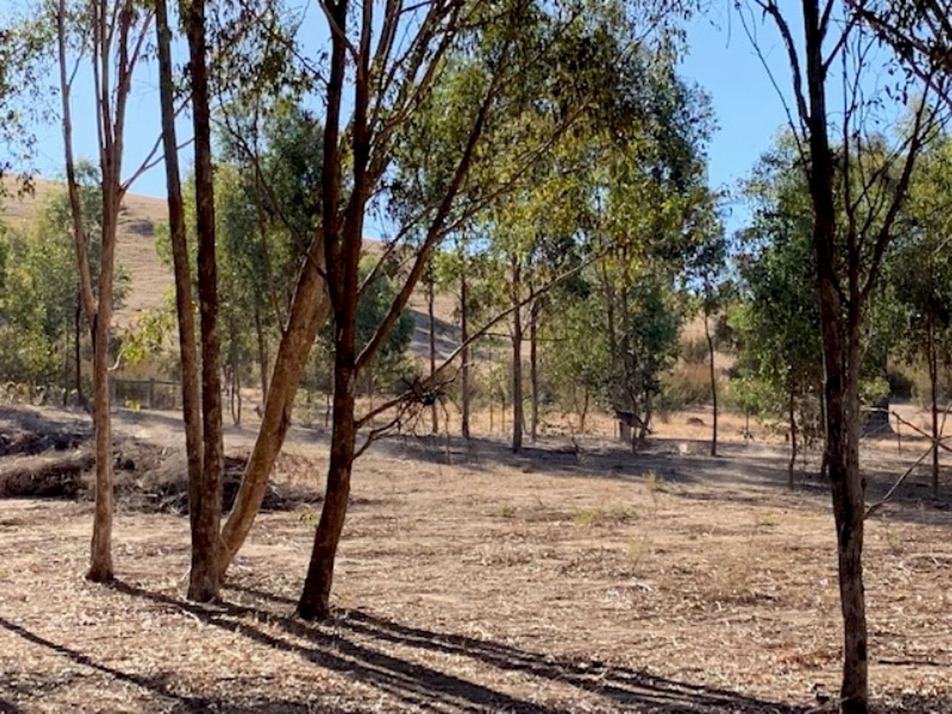 820 Telegraph Road, Seymour, VIC, 3660, Seymour - Thumbnail 4
