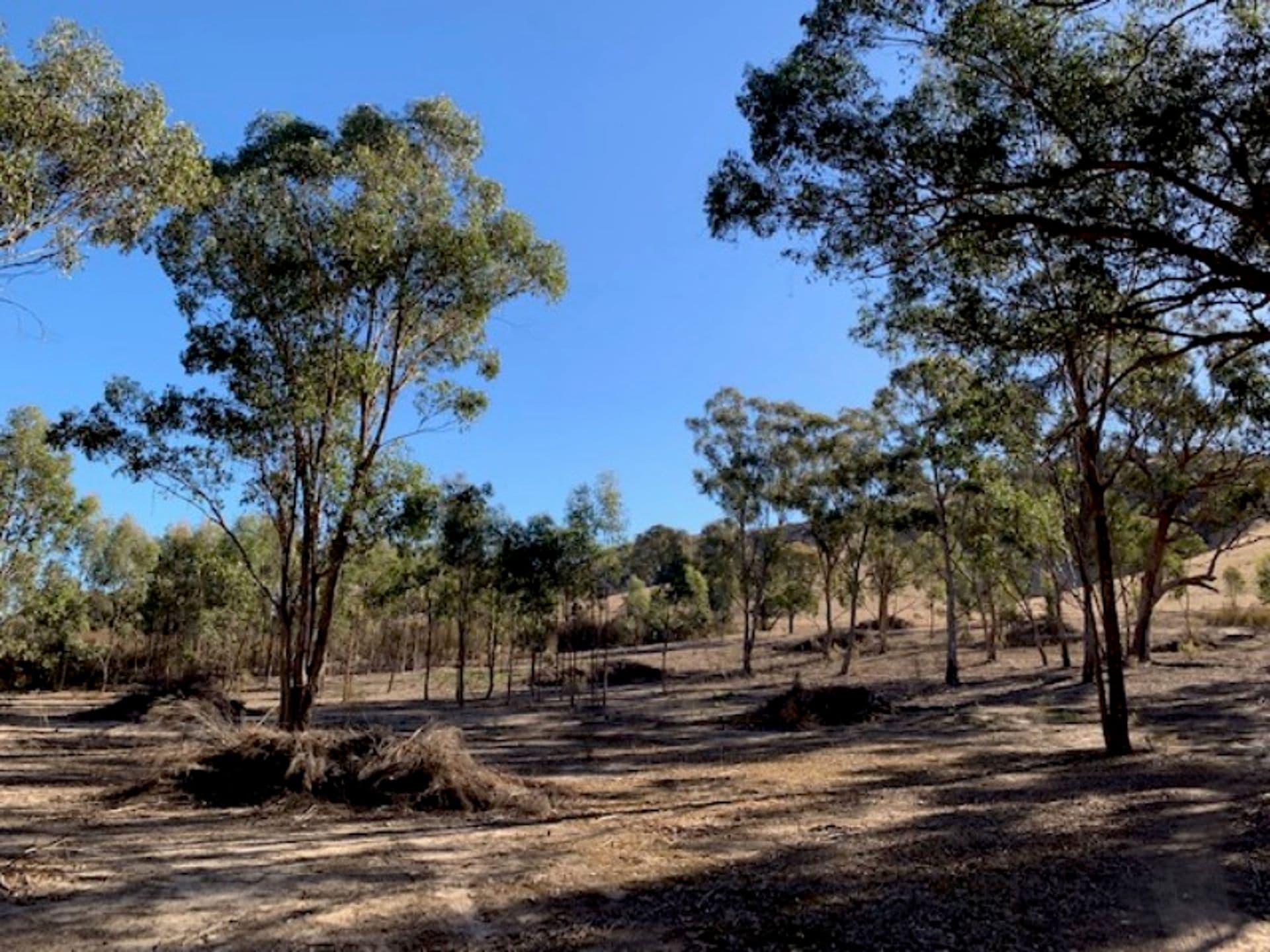 820 Telegraph Road, Seymour, VIC, 3660, Seymour - Thumbnail 2