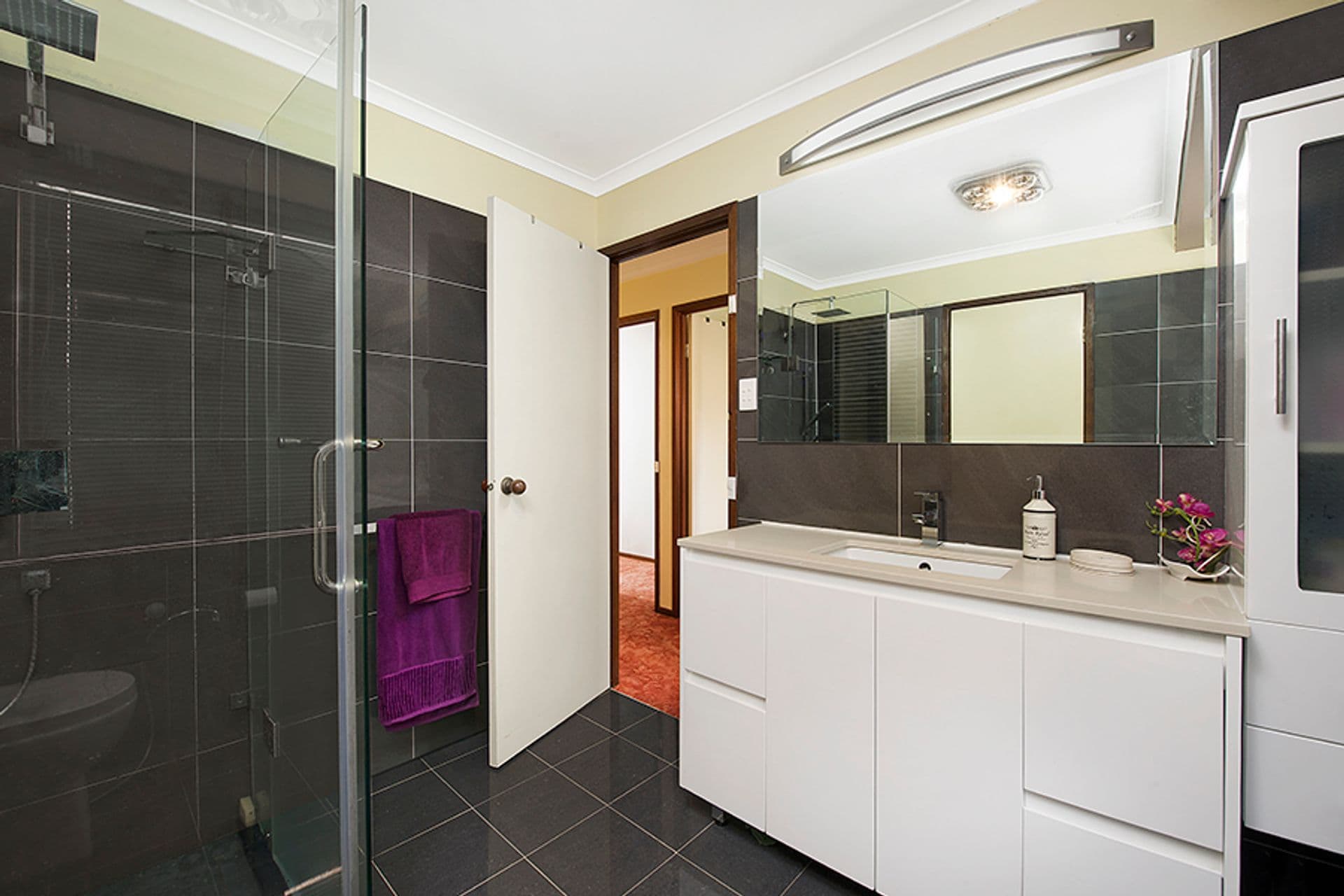 17 Thompson Place, Minto, NSW, 2566, Minto - Thumbnail 5