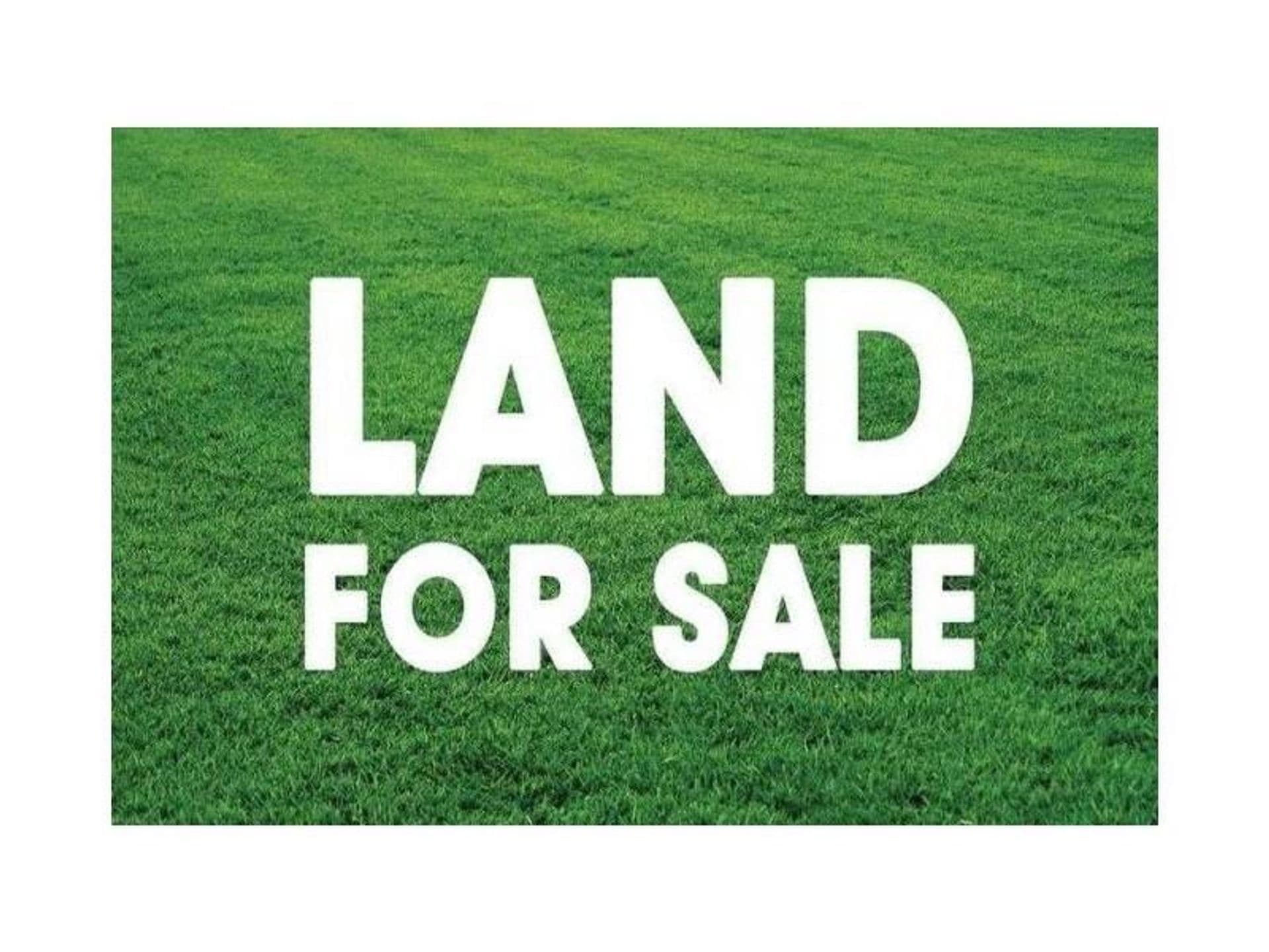 1 Westview St, Campbelltown, NSW, 2560, Campbelltown - Thumbnail 3