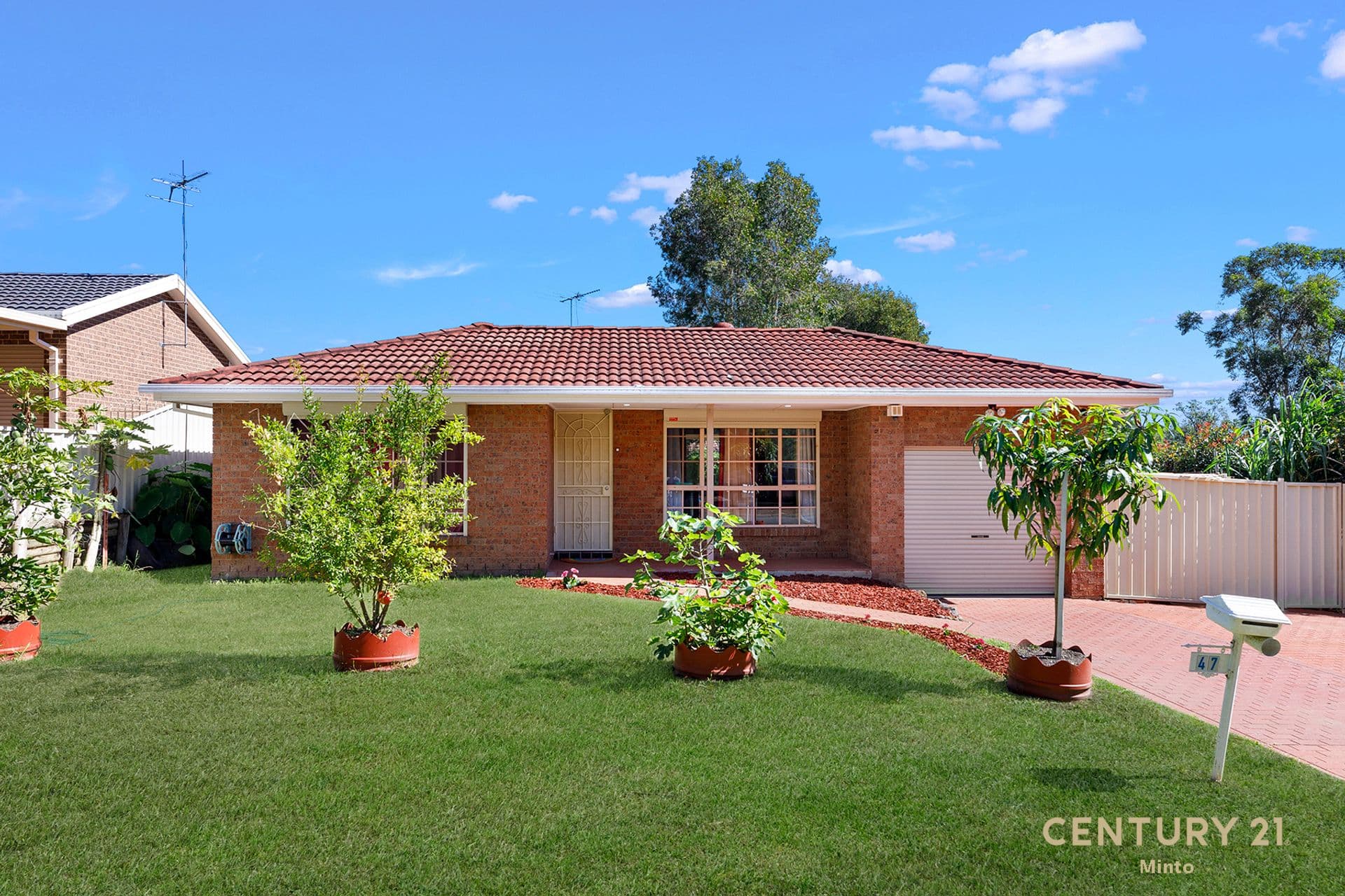 47 Mary Street, Macquarie Fields, NSW, 2564, Macquarie Fields - Image 1