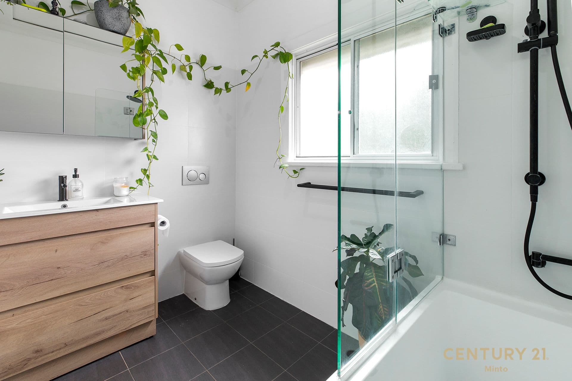 86 Carlisle Street, Ingleburn, NSW, 2565, Ingleburn - Thumbnail 8