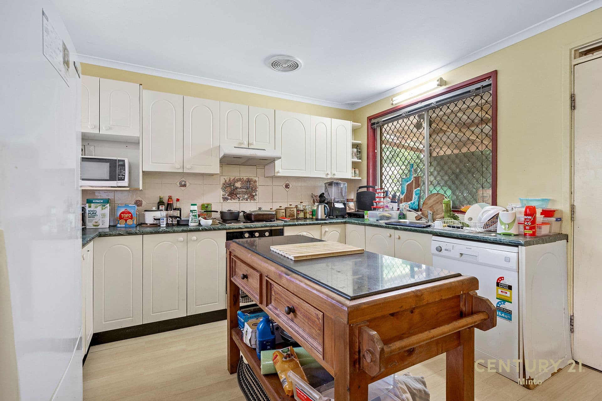 127 Macquarie Avenue, Campbelltown, NSW, 2560, Campbelltown - Thumbnail 4