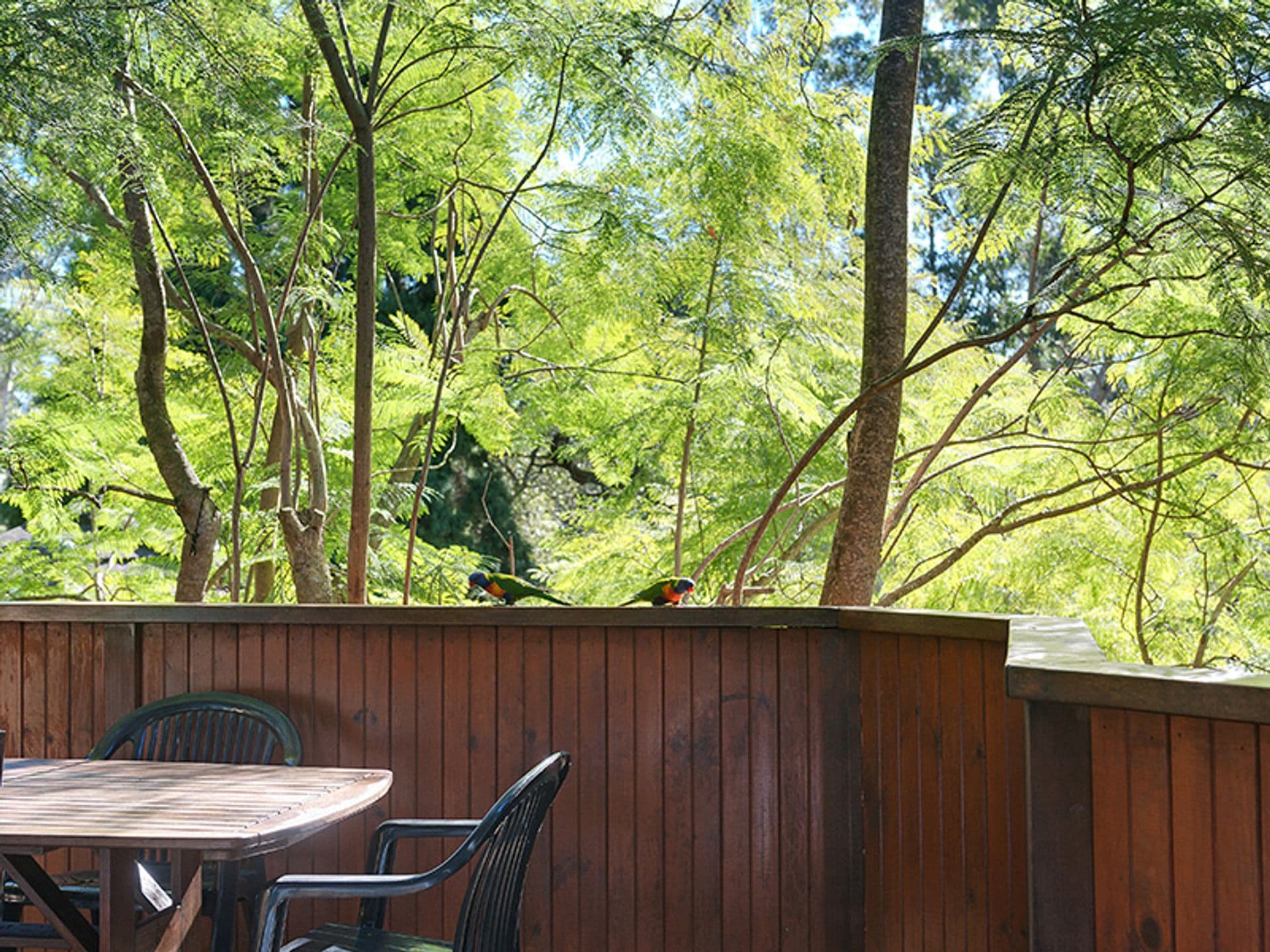 7 Monteith Street, Turramurra, NSW, 2074, Turramurra - Thumbnail 3