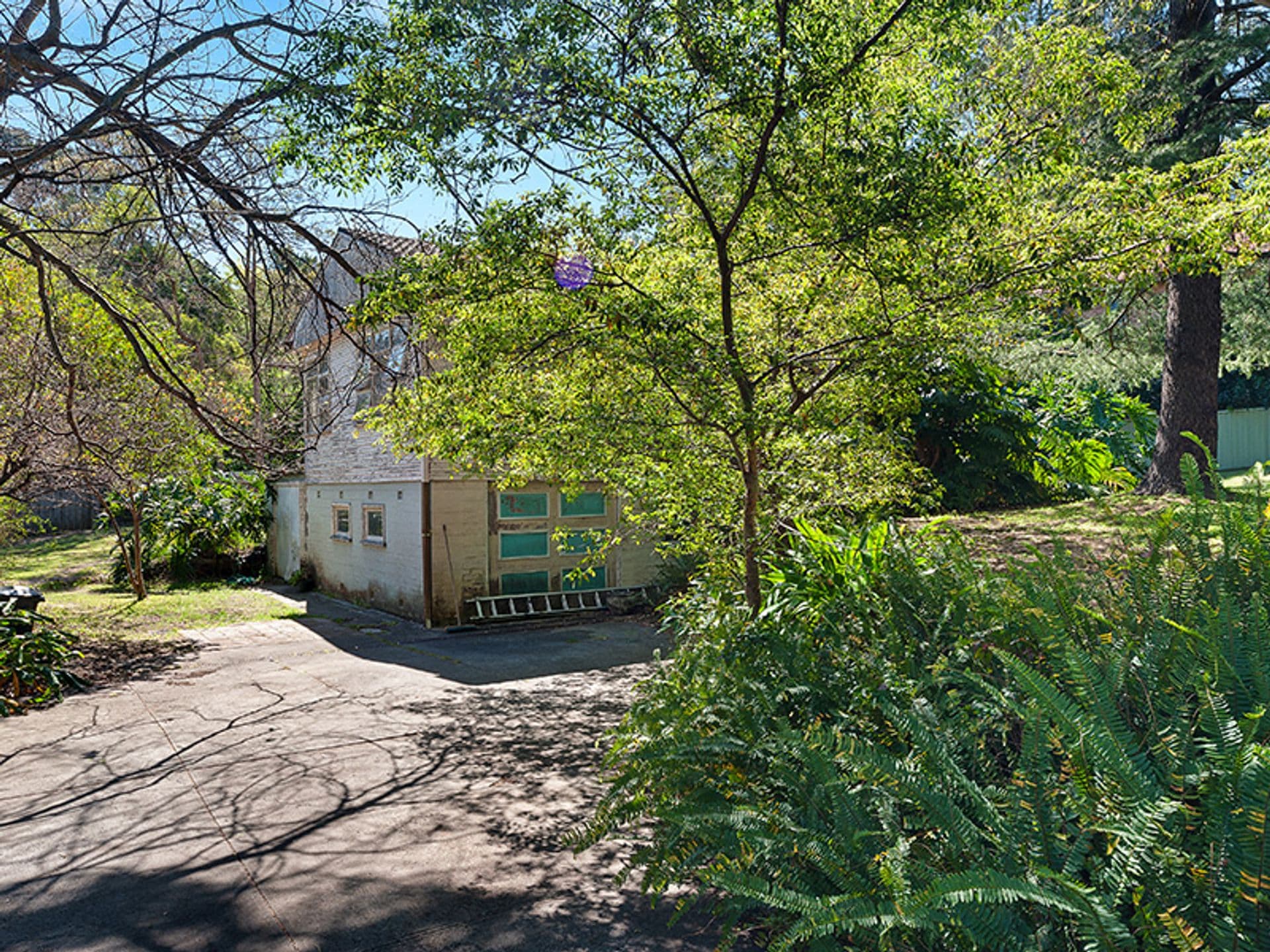 3 Yeramba Street, Turramurra, NSW, 2074, Turramurra - Thumbnail 4