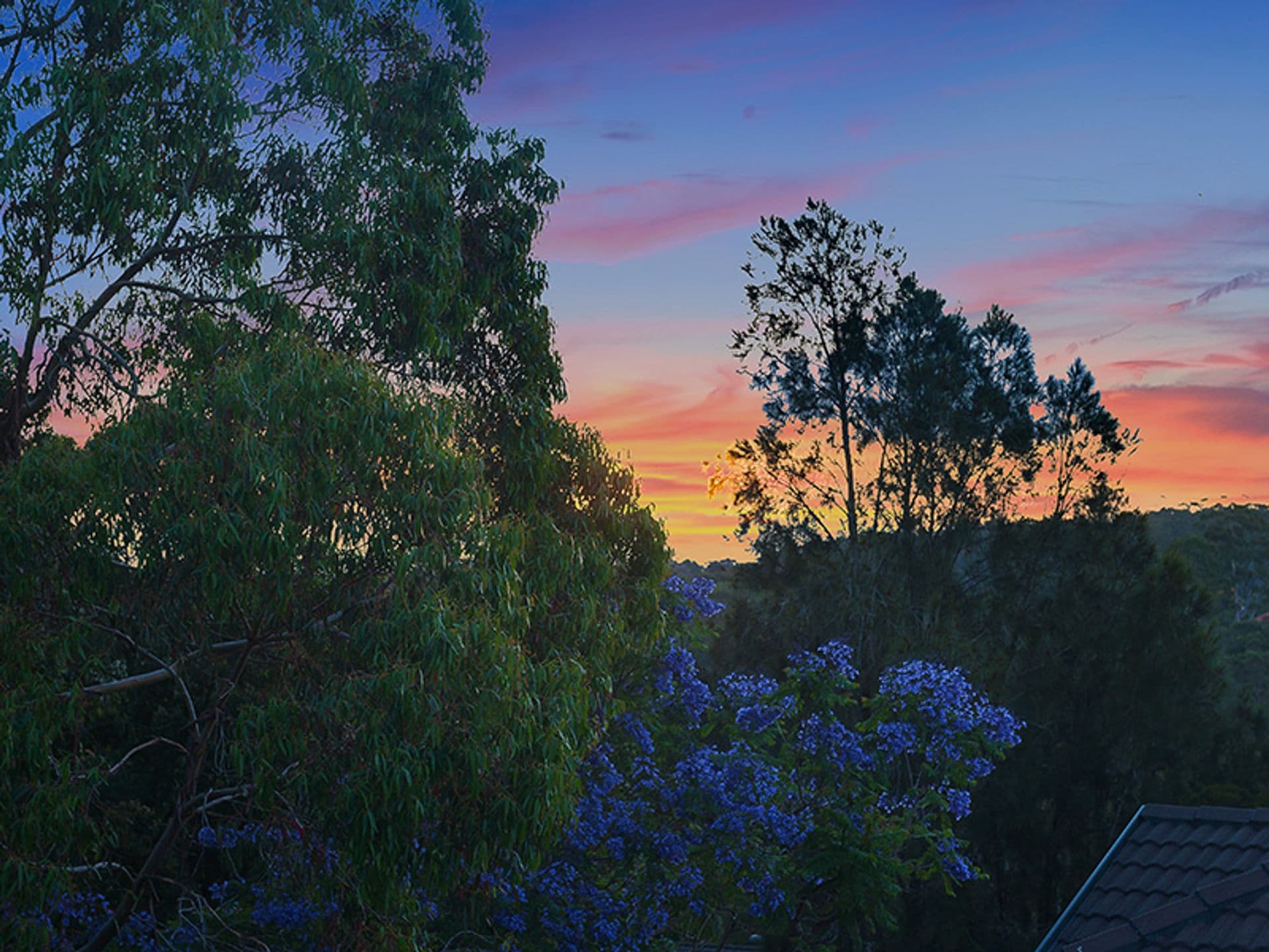 1D Valley Park Crescent, Turramurra, NSW, 2074, Turramurra - Thumbnail 6