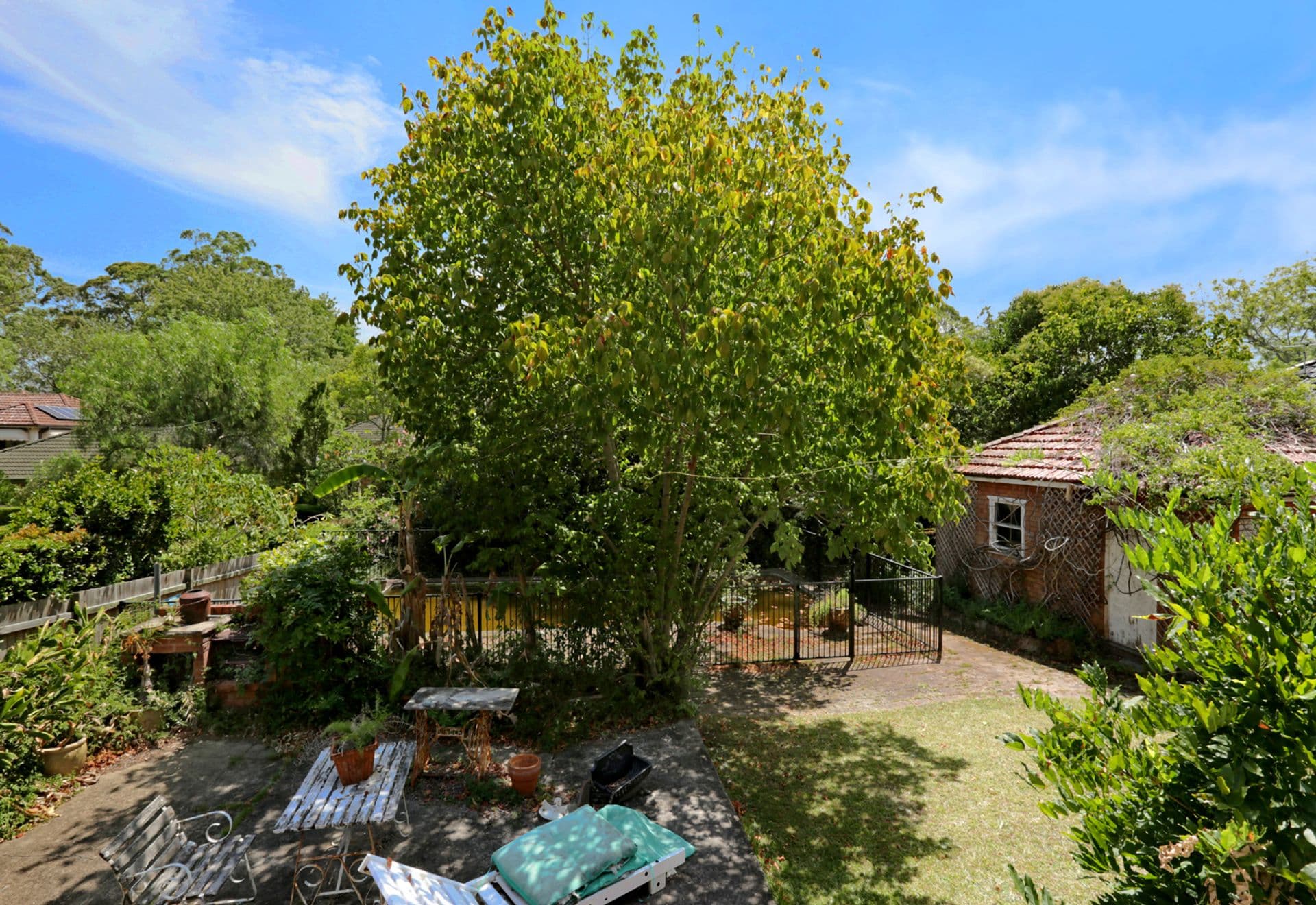 12 Handley Ave, Turramurra, NSW, 2074, Turramurra - Thumbnail 3