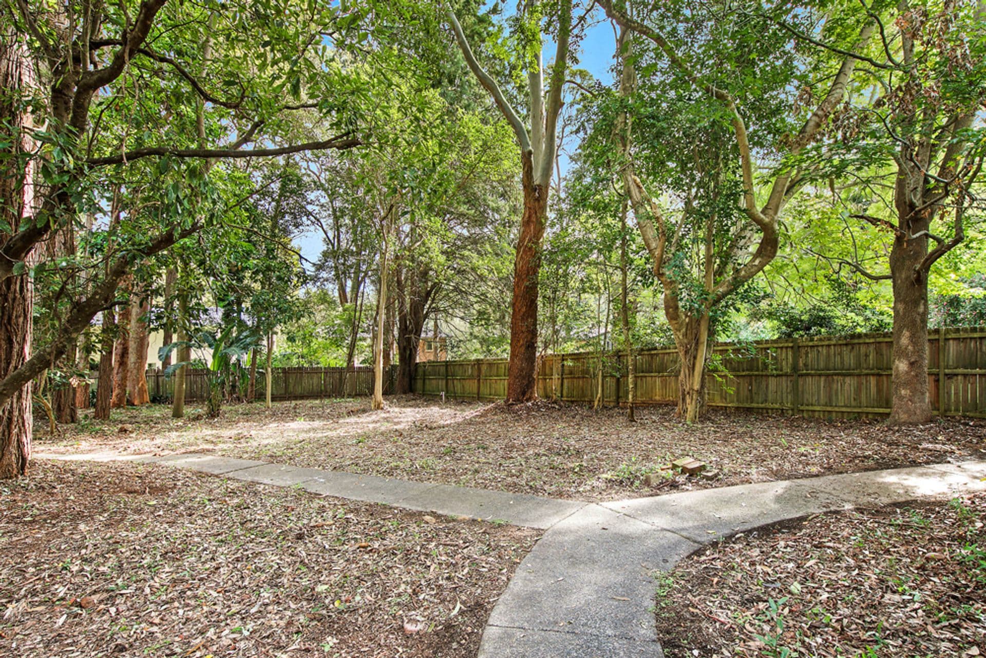 63 Kissing Point Road, Turramurra, NSW, 2074, Turramurra - Thumbnail 3