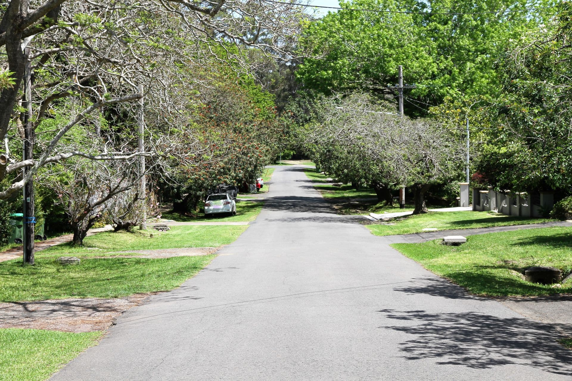 16 Wolsten Ave, Turramurra, NSW, 2074, Turramurra - Thumbnail 2