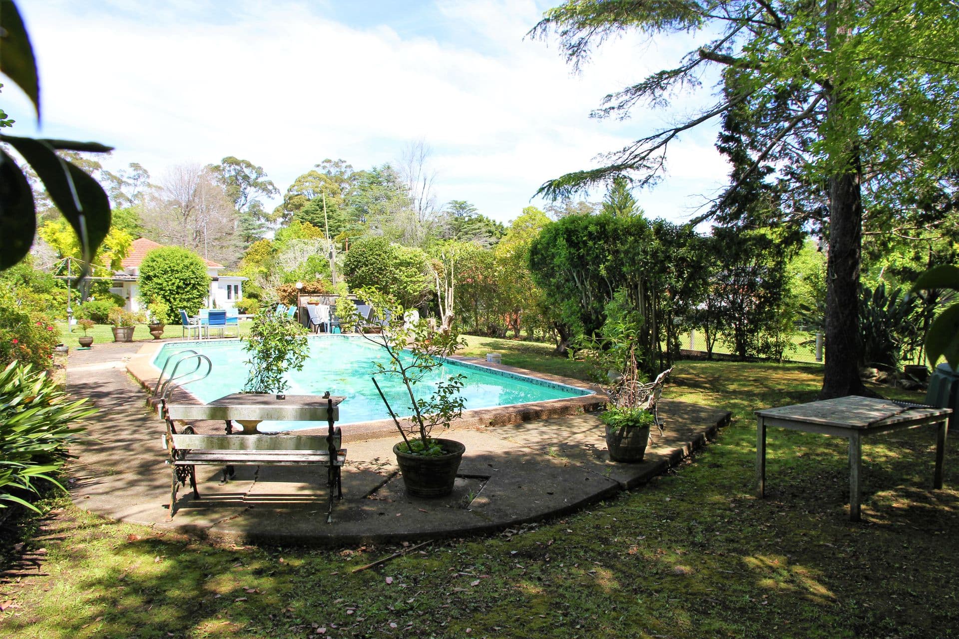 16 Wolsten Ave, Turramurra, NSW, 2074, Turramurra - Thumbnail 5