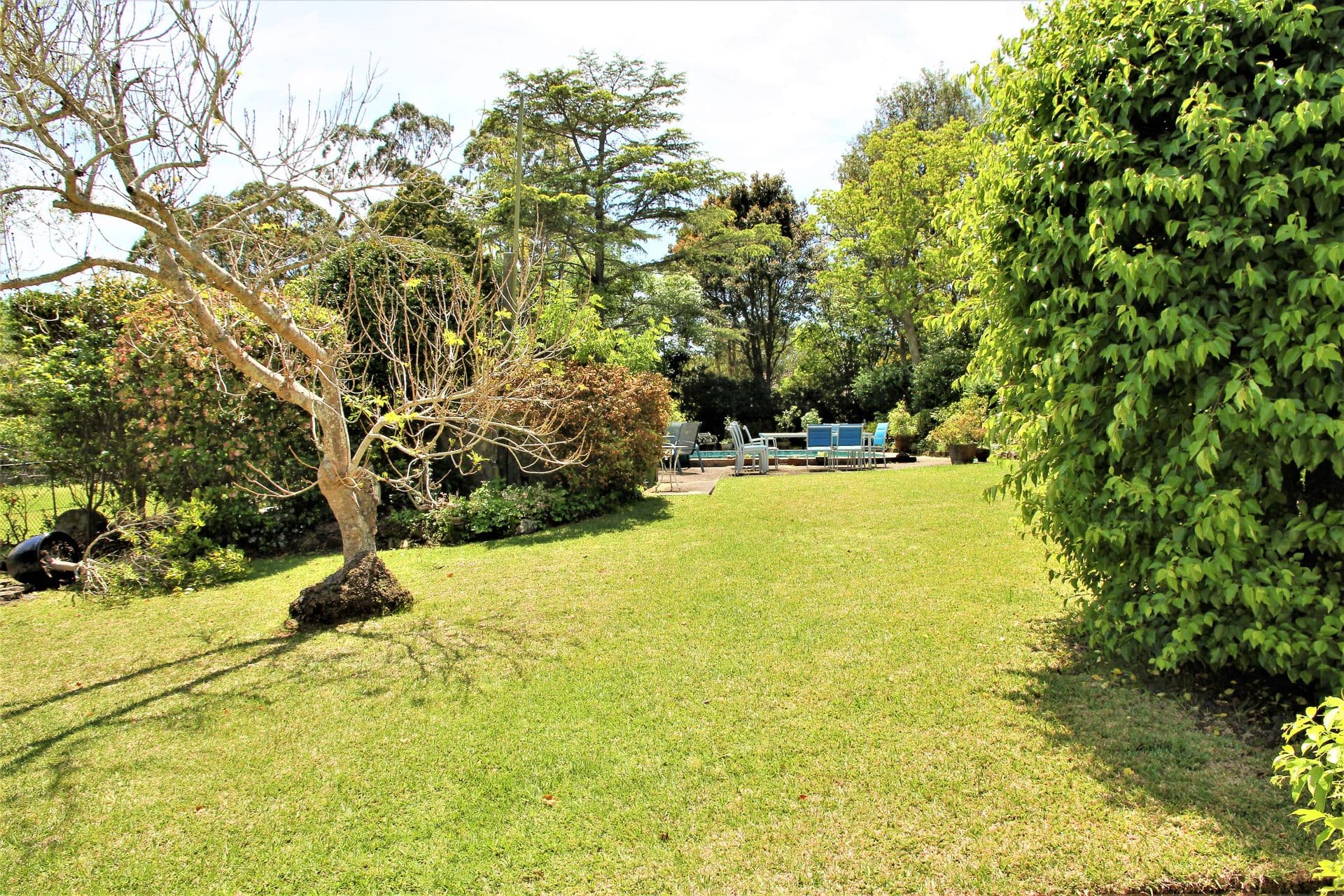 16 Wolsten Ave, Turramurra, NSW, 2074, Turramurra - Thumbnail 3