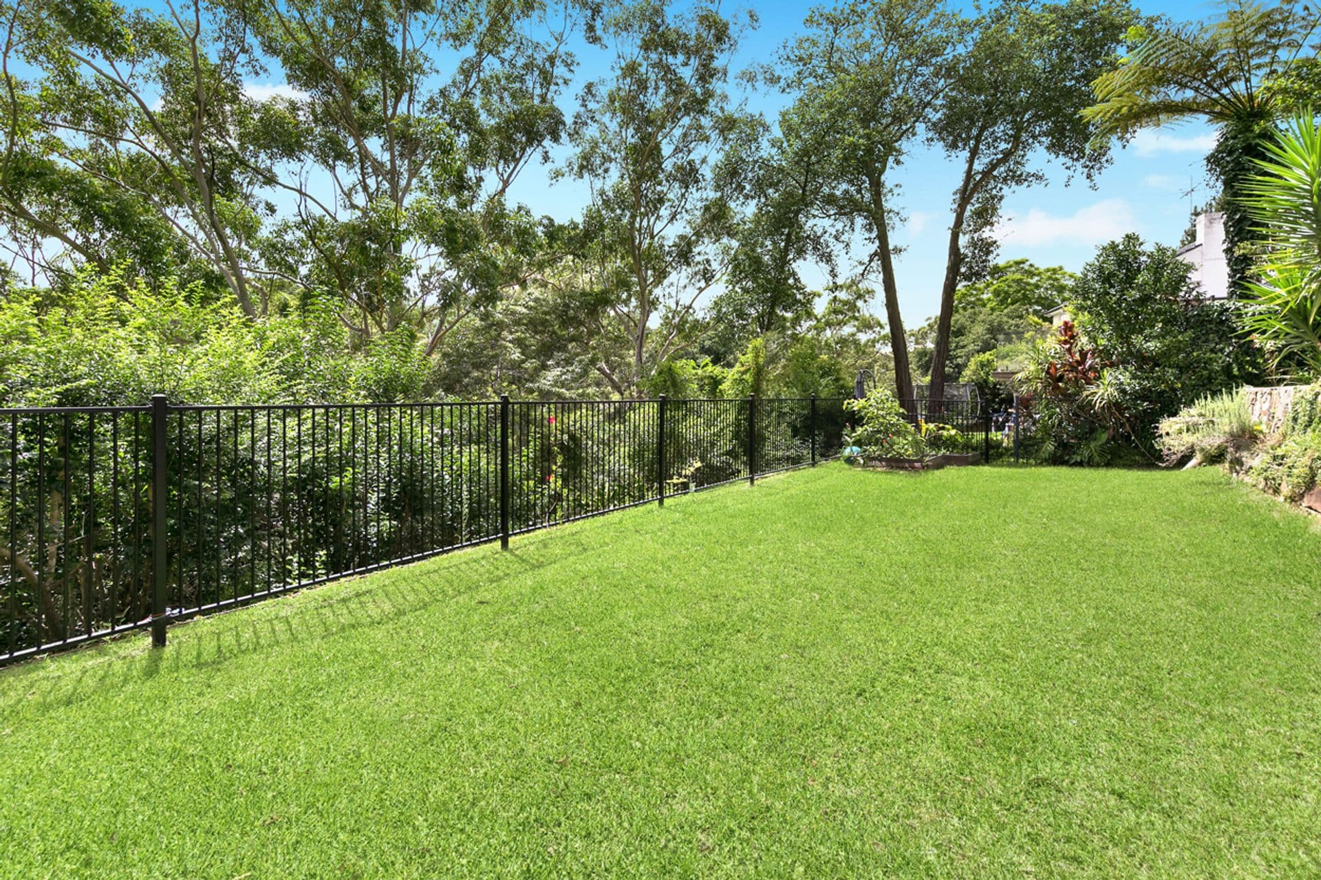 56 Elgin Street, Gordon, NSW, 2072, Gordon - Thumbnail 5