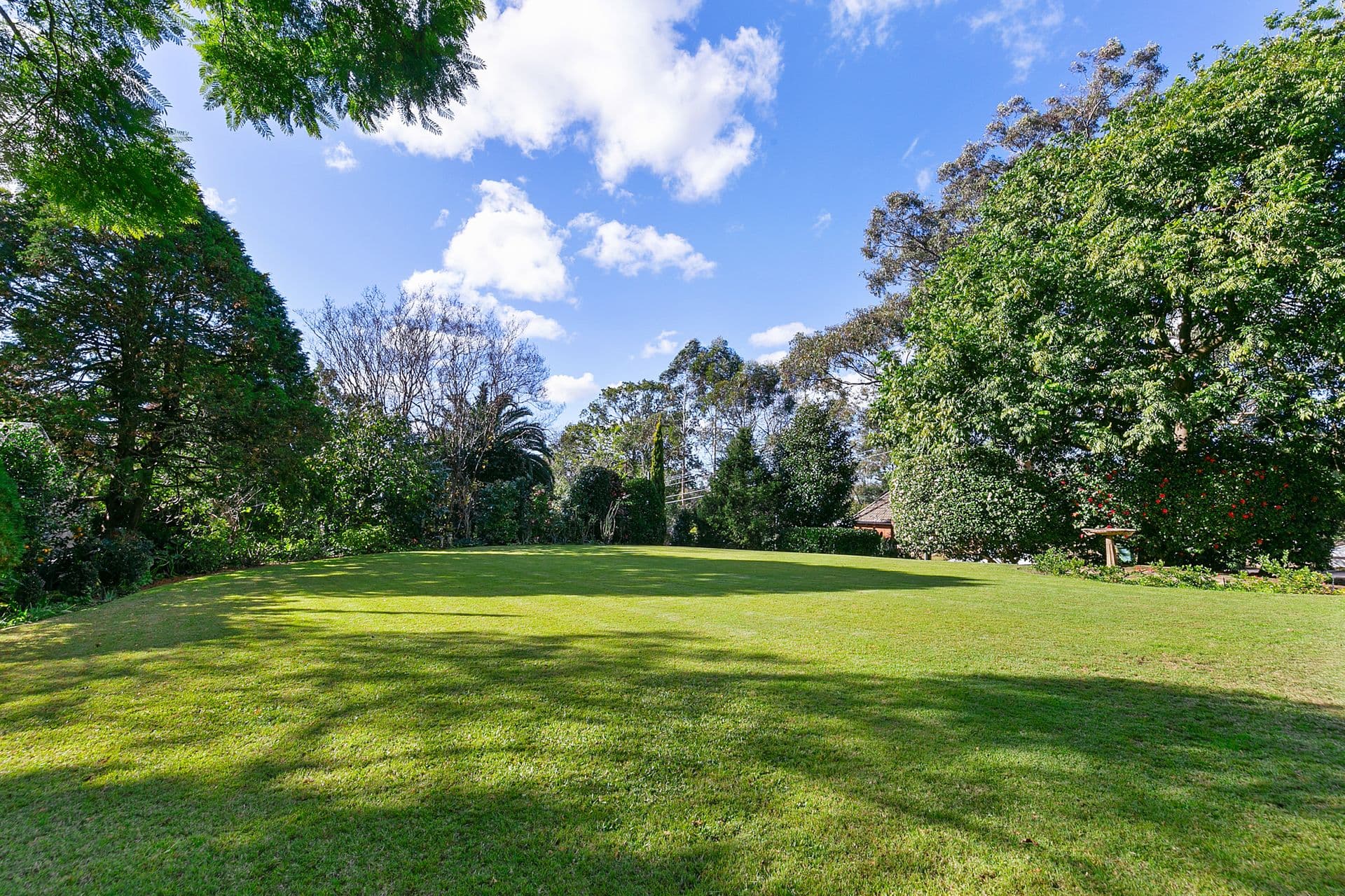 60 Warrangi Street, Turramurra, NSW, 2074, Turramurra - Thumbnail 3