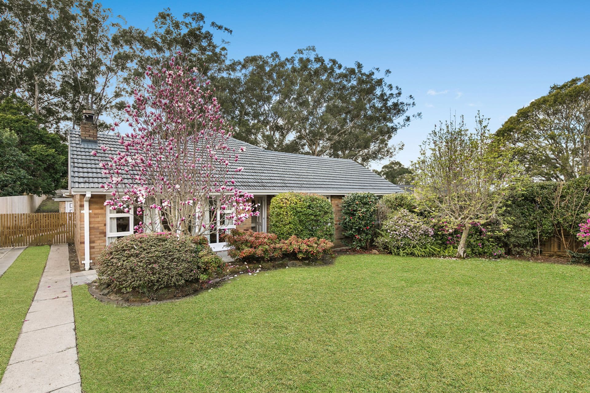 22 Eden Avenue, Turramurra, NSW, 2074, Turramurra - Thumbnail 2