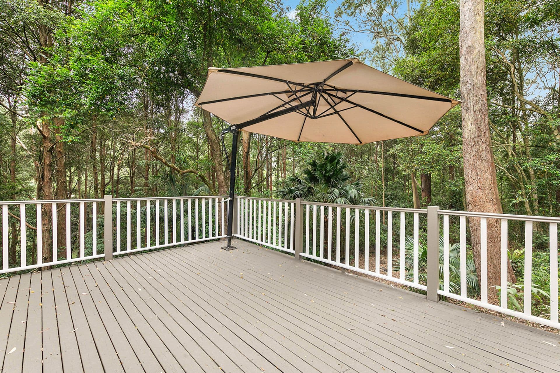 99 Campbell Drive, Wahroonga, NSW, 2076, Wahroonga - Thumbnail 4