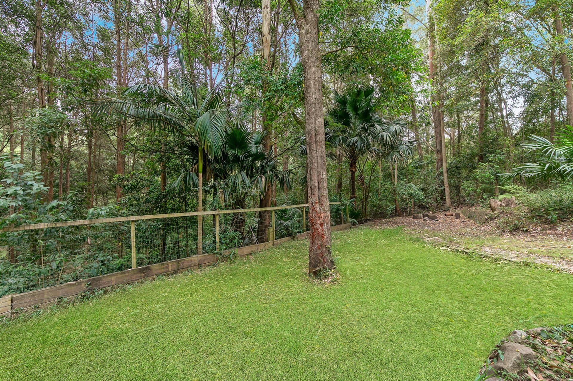 99 Campbell Drive, Wahroonga, NSW, 2076, Wahroonga - Thumbnail 6