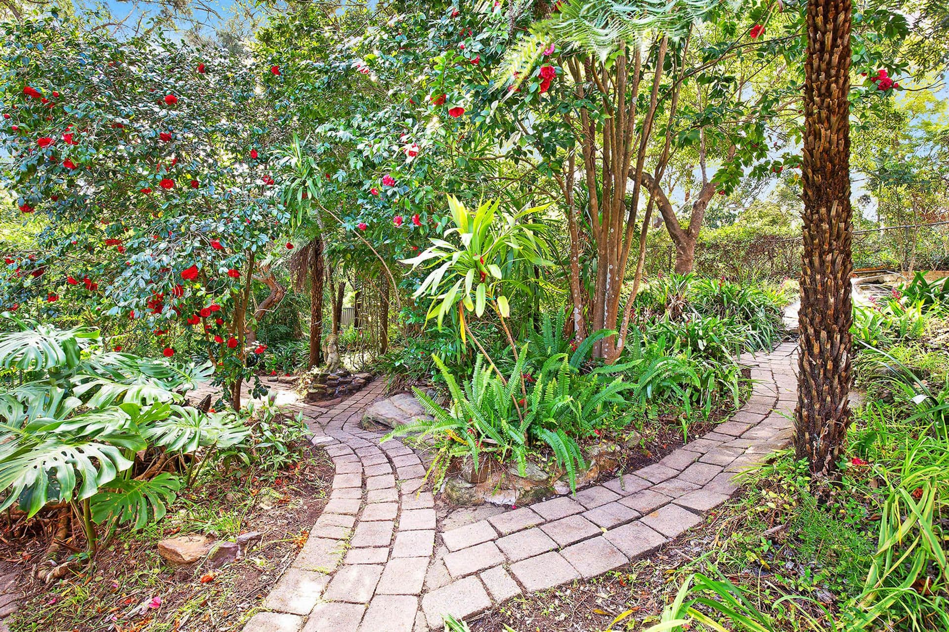 51 Ashburton Ave, Turramurra, NSW, 2074, South Turramurra - Thumbnail 8