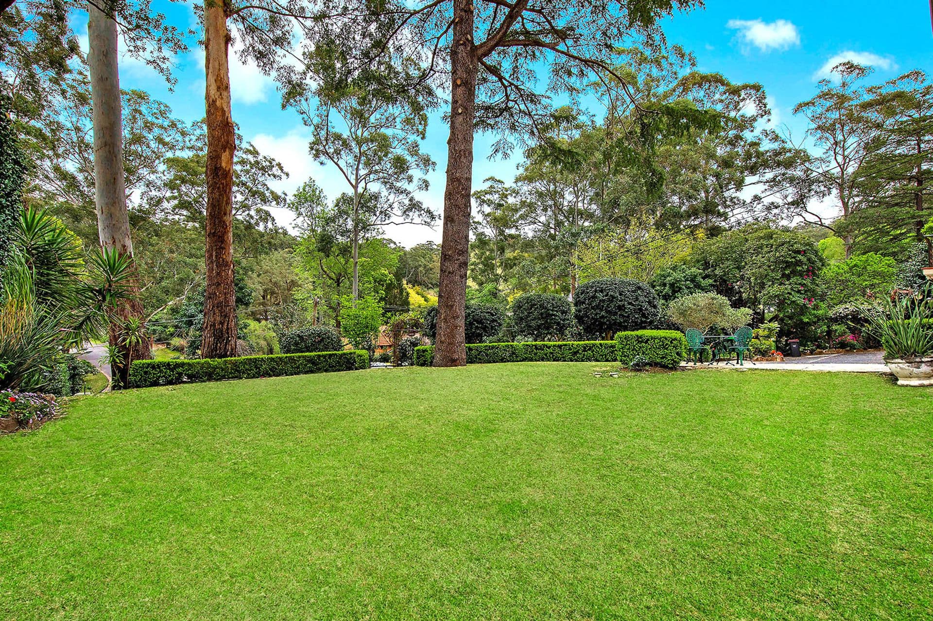 17 Myoora Street, Pymble, NSW, 2073, Pymble - Thumbnail 2