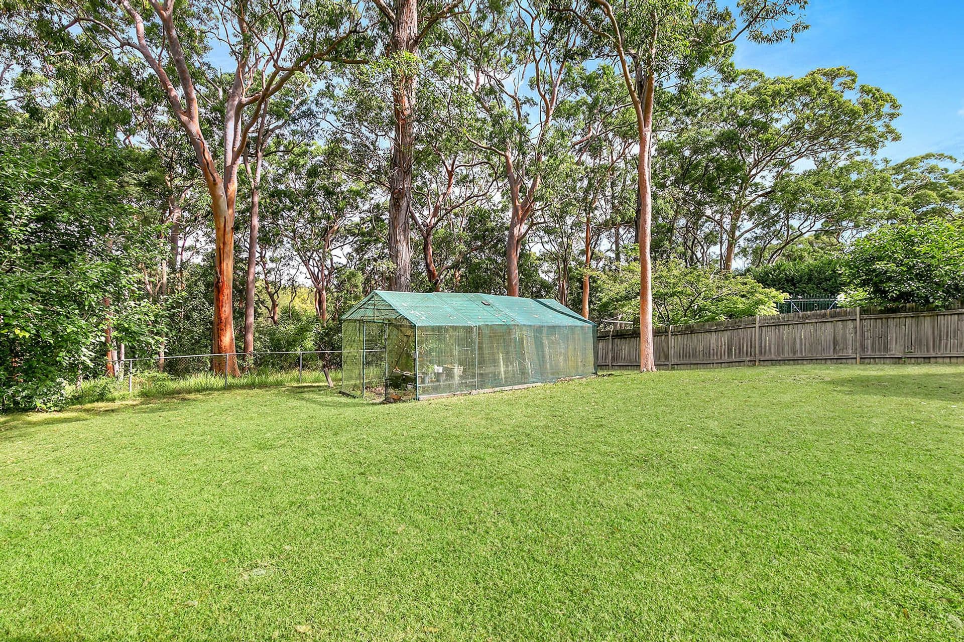 16 Kooloona Cres, West Pymble, NSW, 2073, West Pymble - Thumbnail 7