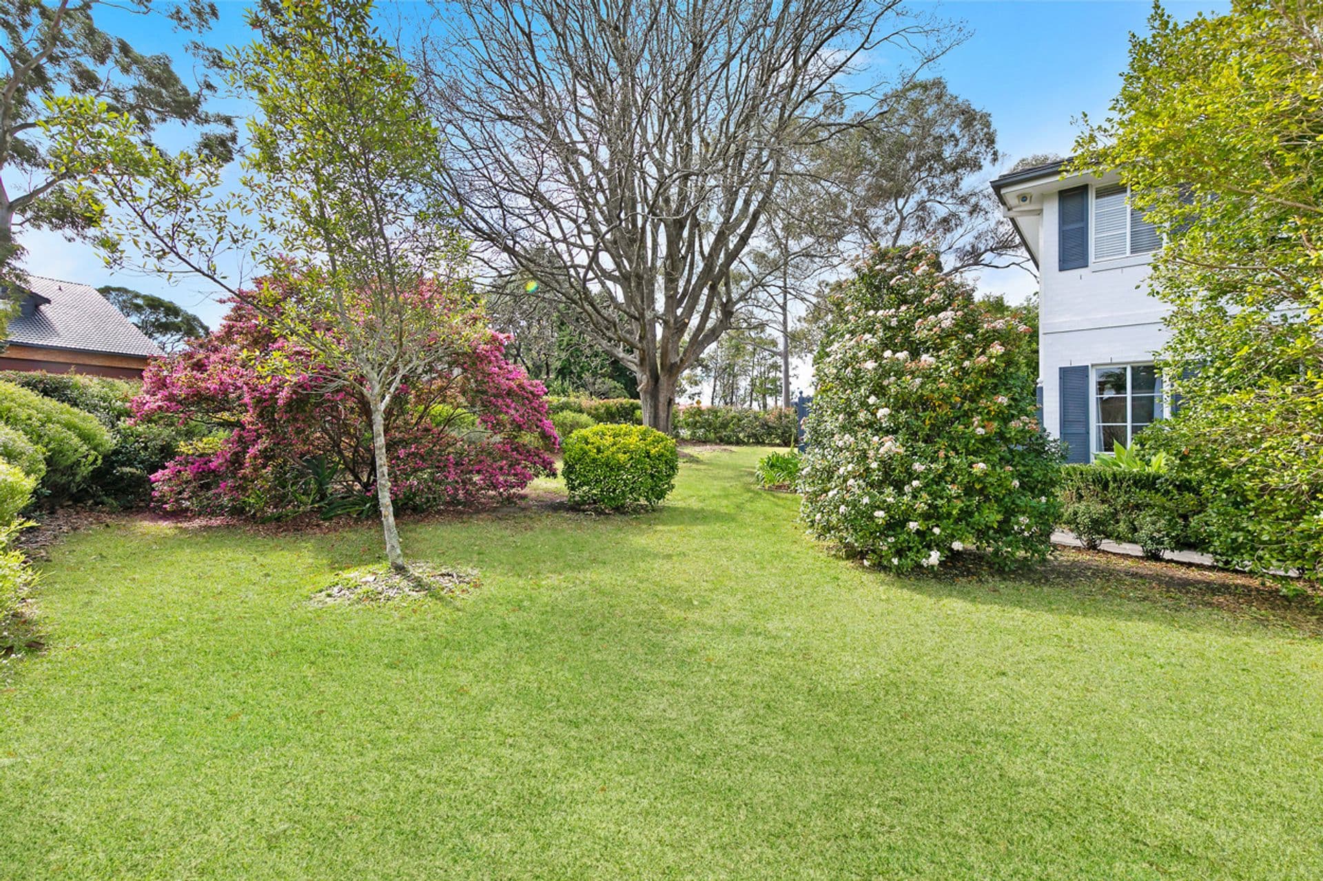 2 Kirkpatrick Street, Turramurra, NSW, 2074, Turramurra - Thumbnail 6