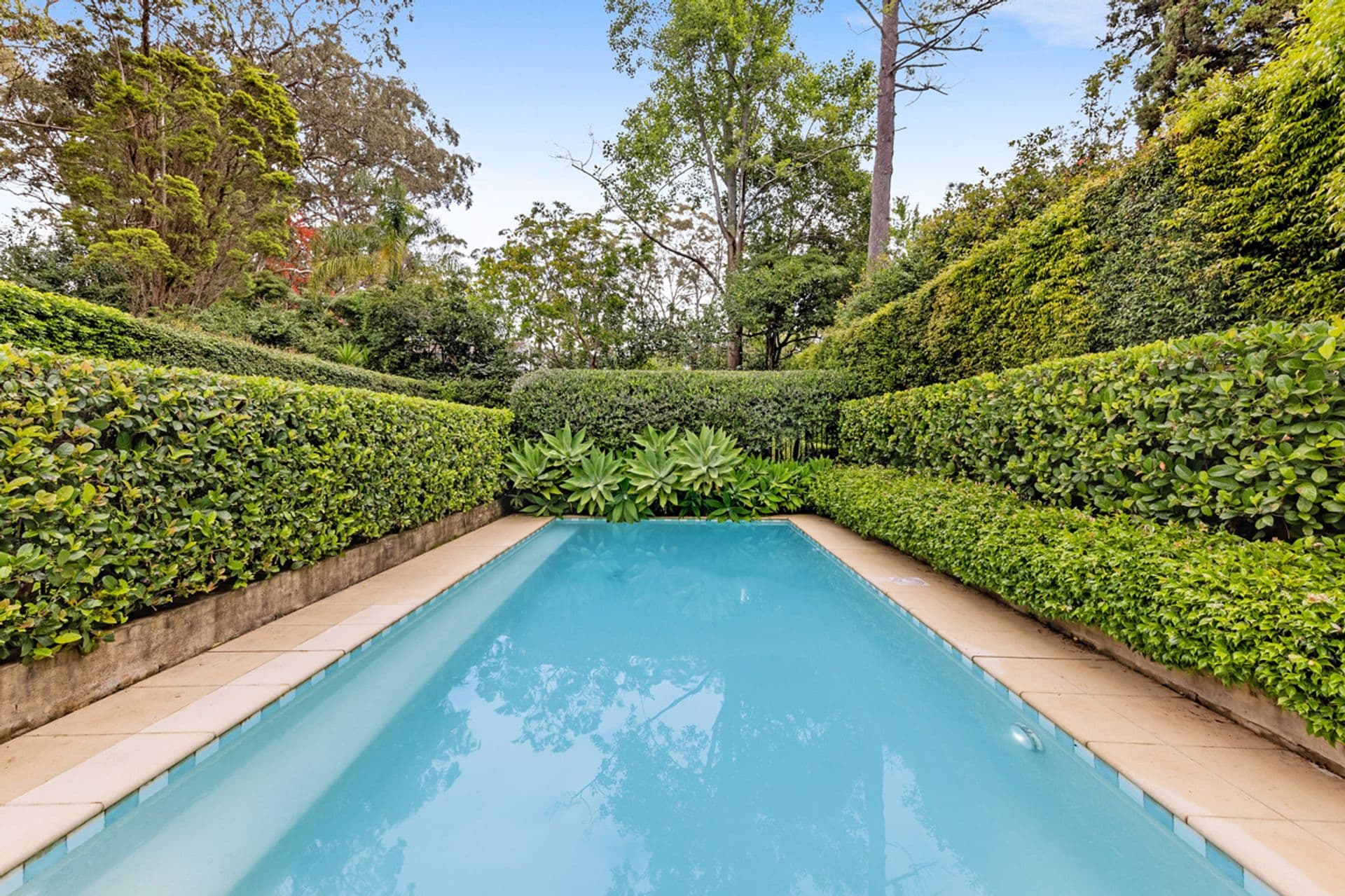 81 Kintore Street, Wahroonga, NSW, 2076, Wahroonga - Thumbnail 6