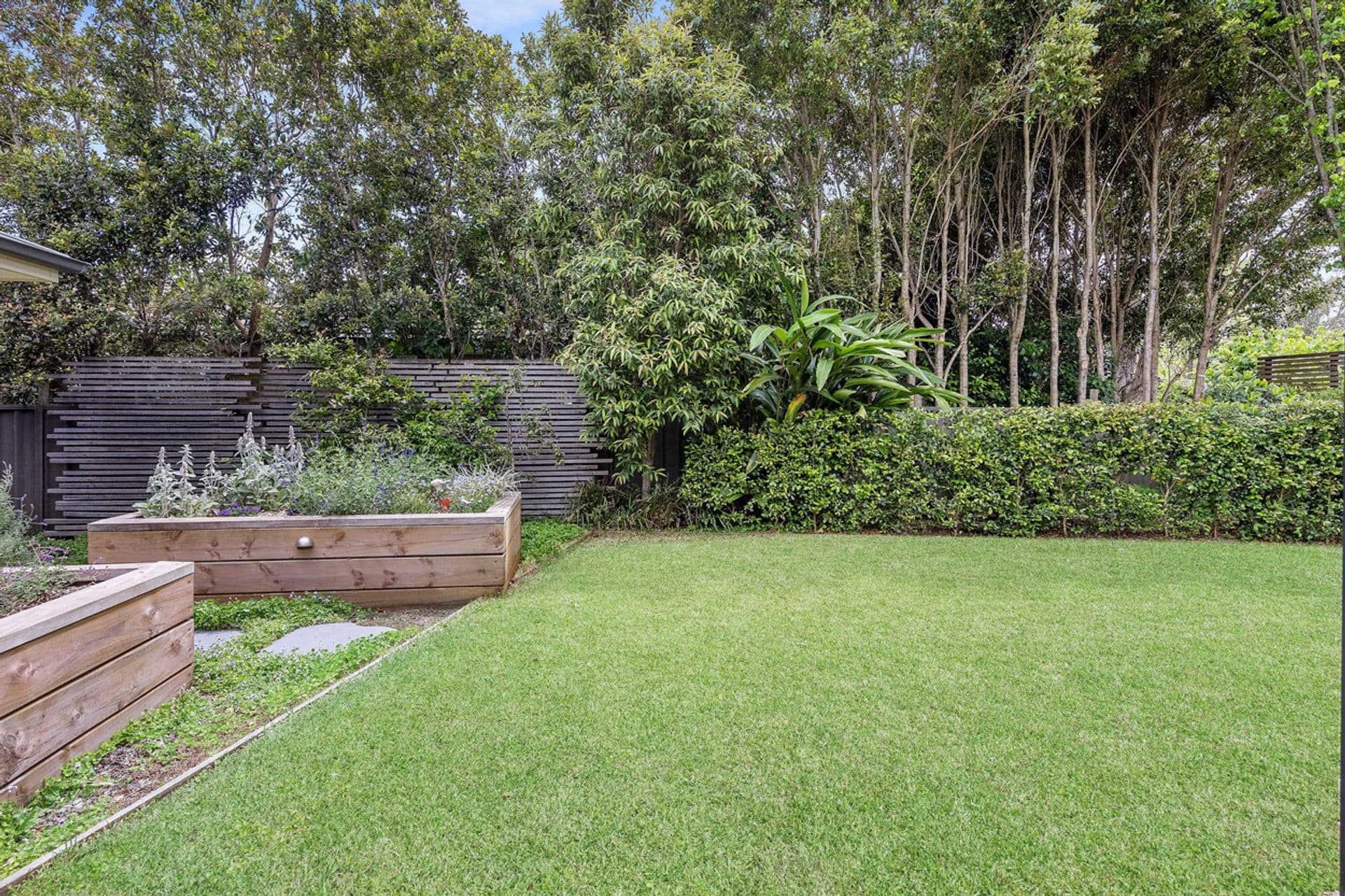 66A Clarke Road, Hornsby, NSW, 2077, Hornsby - Thumbnail 8