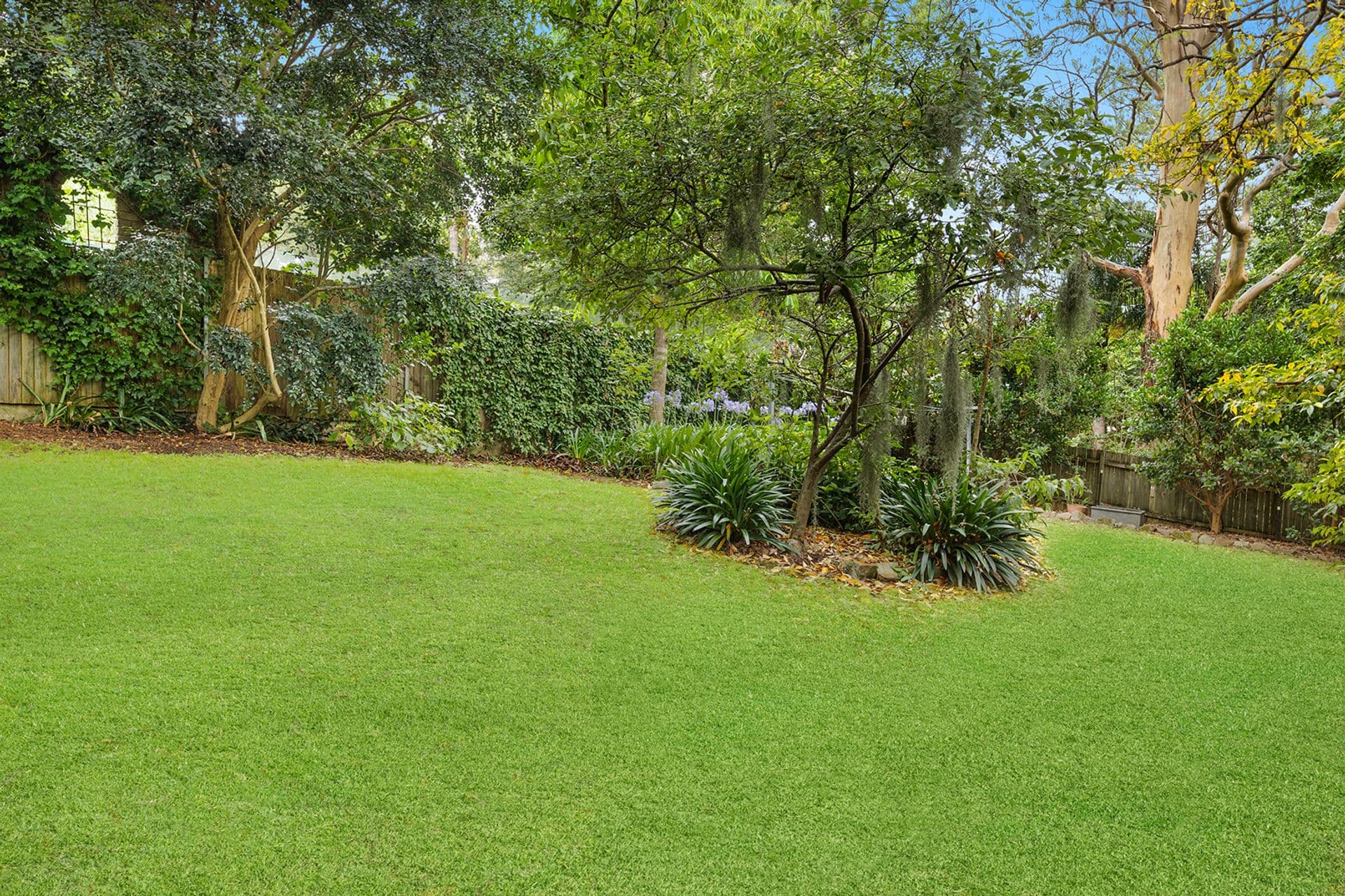 84 Rosedale Road, Gordon, NSW, 2072, Gordon - Thumbnail 8
